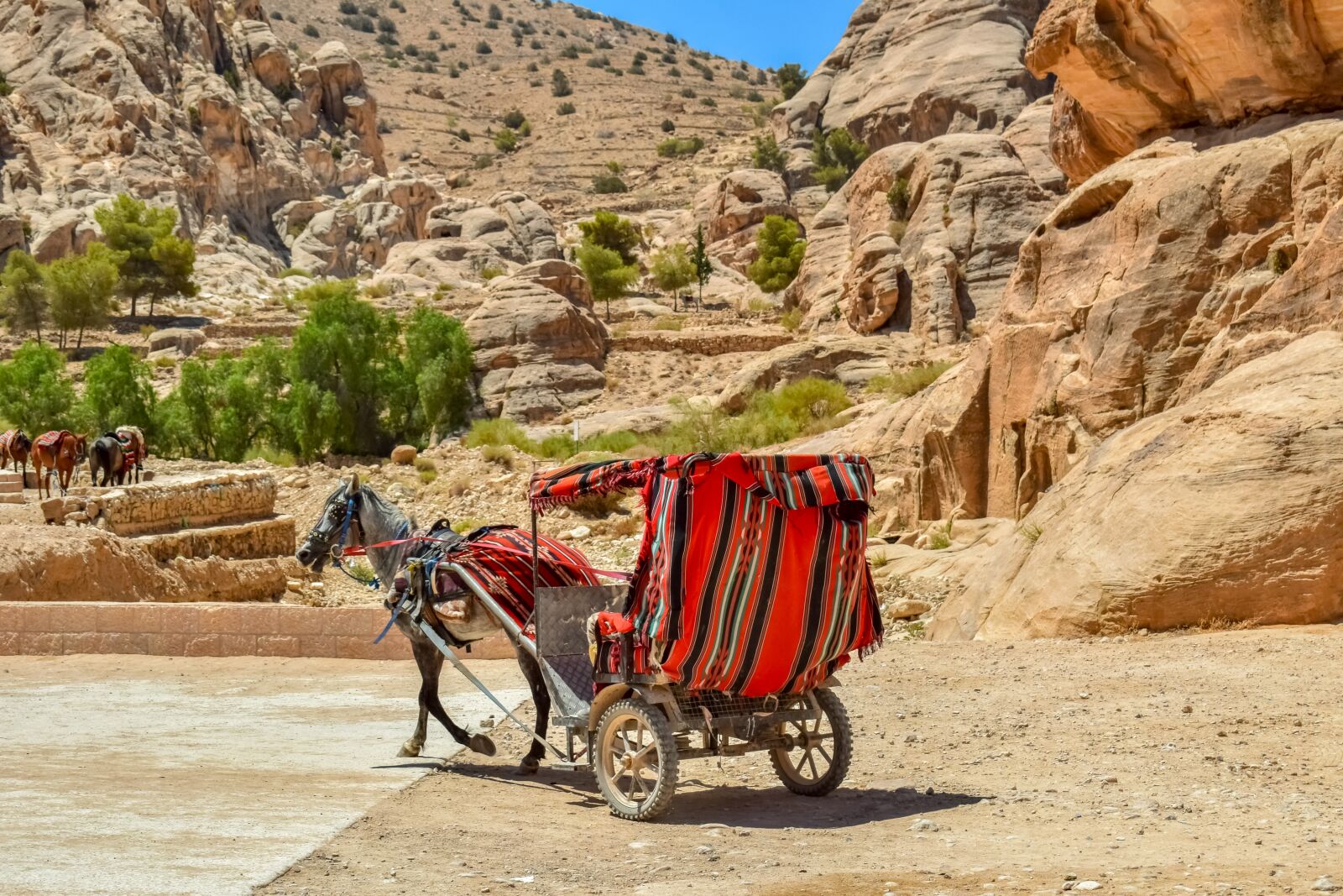 Nikon D3300 sample photo. Coach, carriage, al siq photography