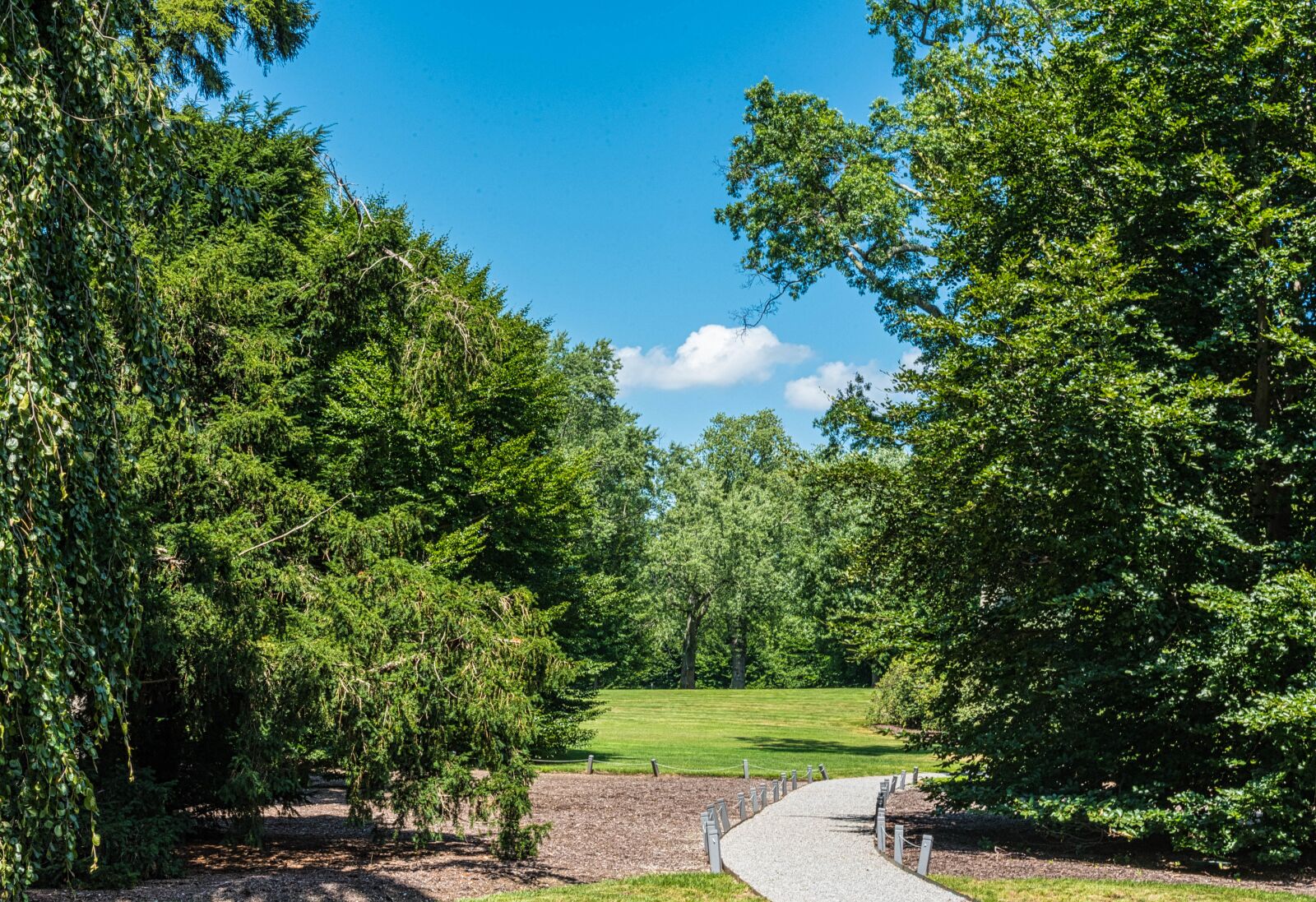 Nikon D750 sample photo. Path, estate grounds, trees photography