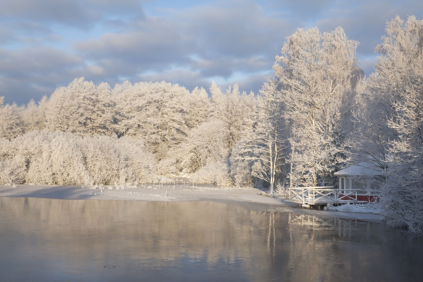 Canon EOS 5D Mark II sample photo. Frost, winter, snowy photography