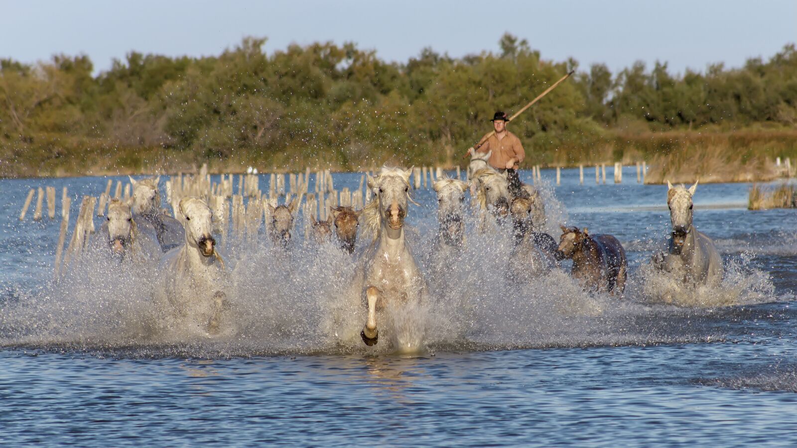Canon EF75-300mm f/4-5.6 sample photo. Cavalcade, camargue, saintes-maries-de-la-mer photography