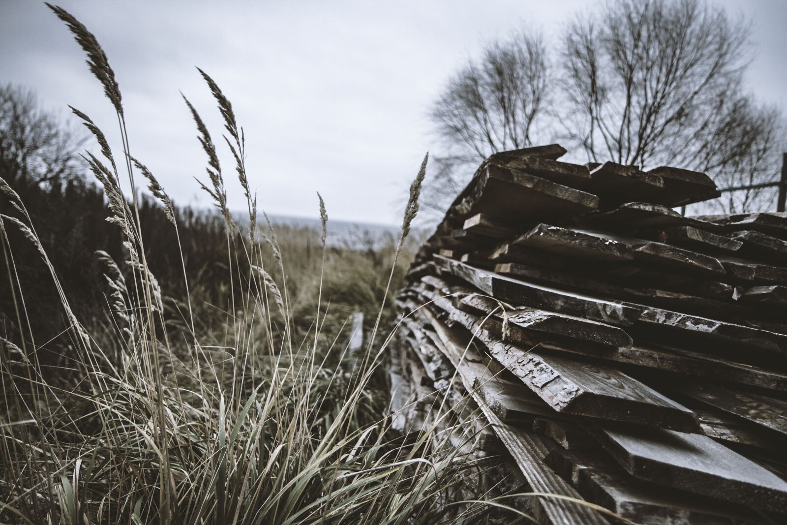 Canon EOS 7D sample photo. Grunge, landscape, old photography