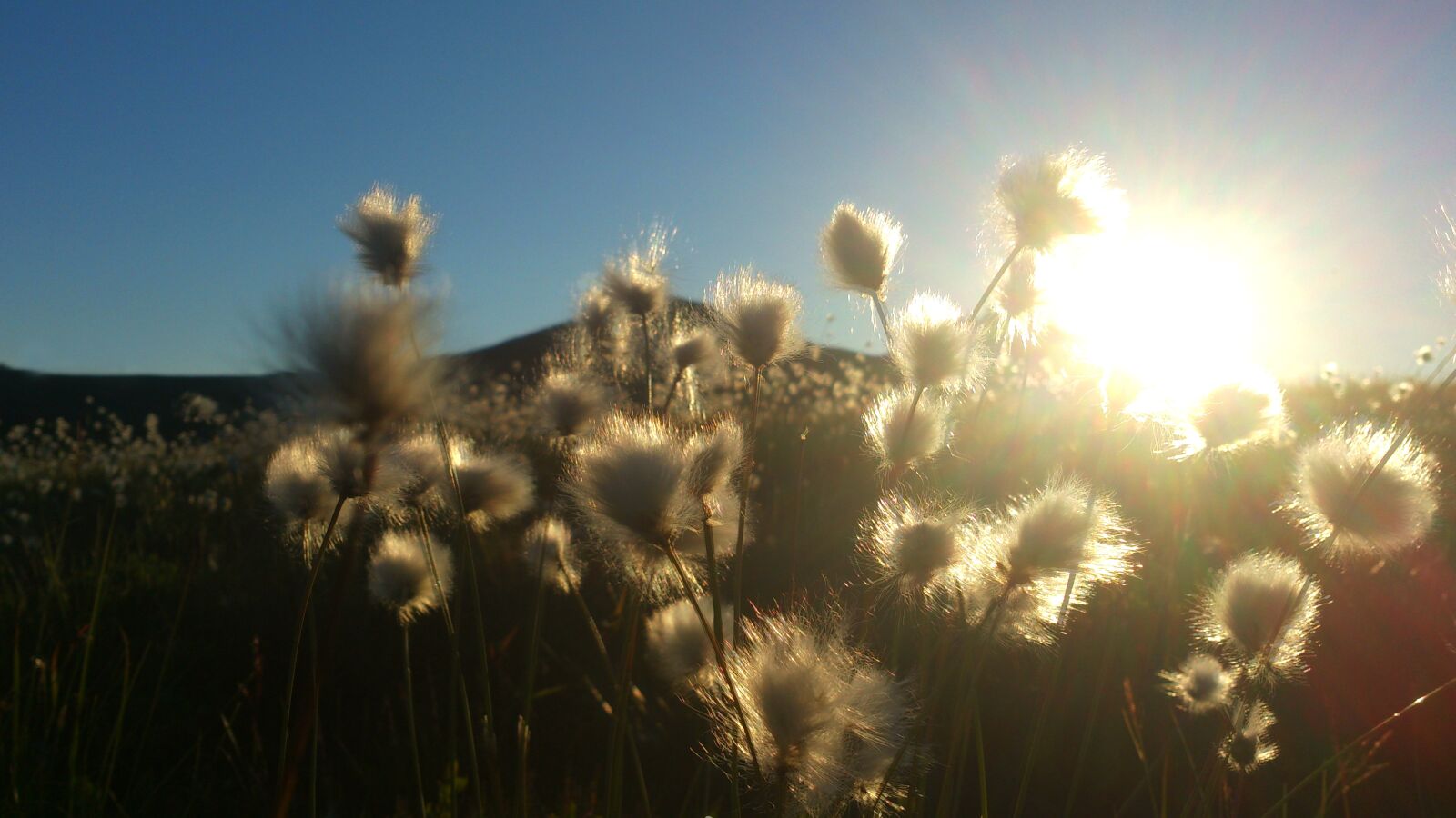 Sony Xperia V sample photo. Sunrise, sunset, mountains photography