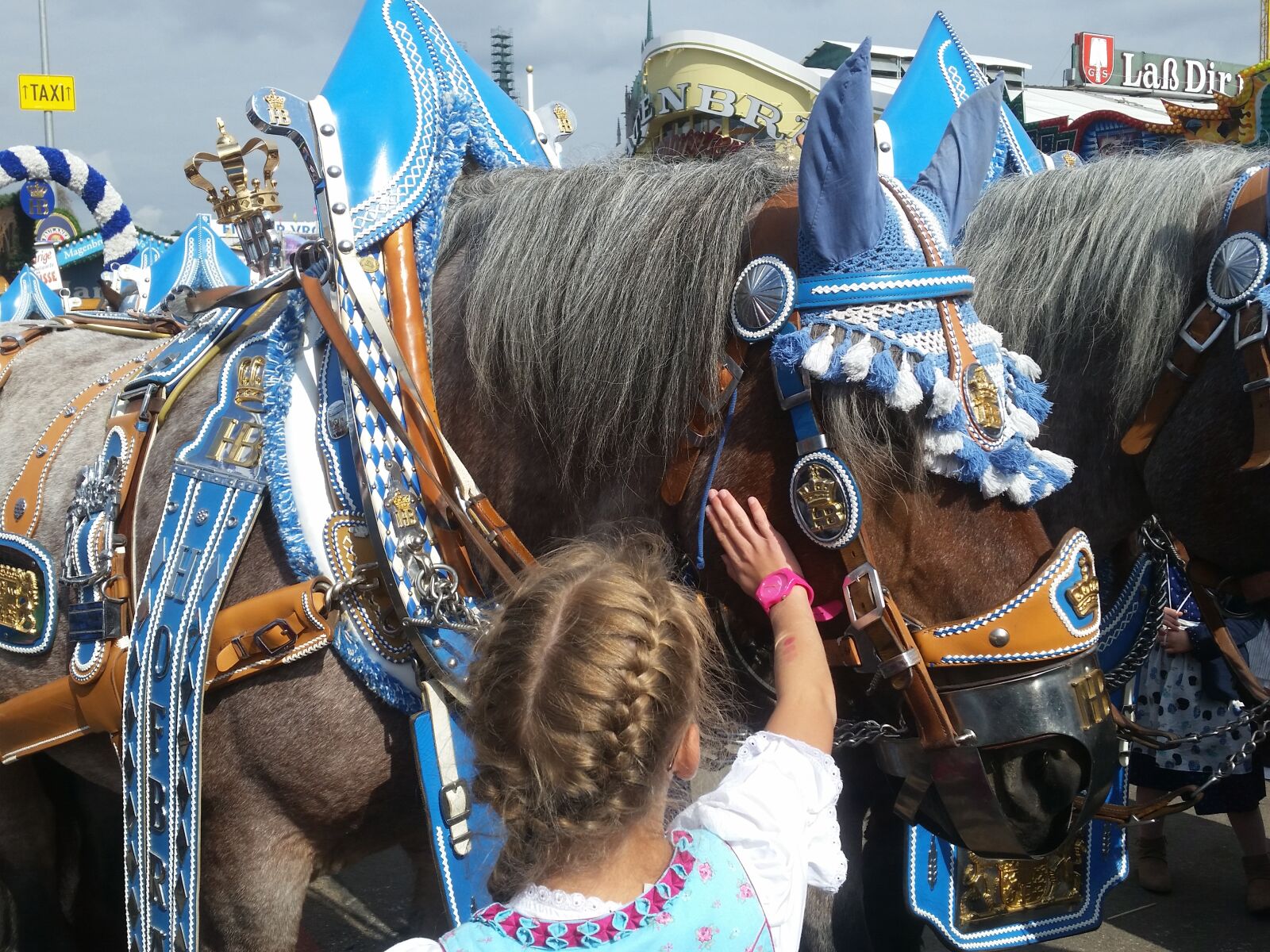Samsung Galaxy S5 sample photo. Beer car, team, horse photography