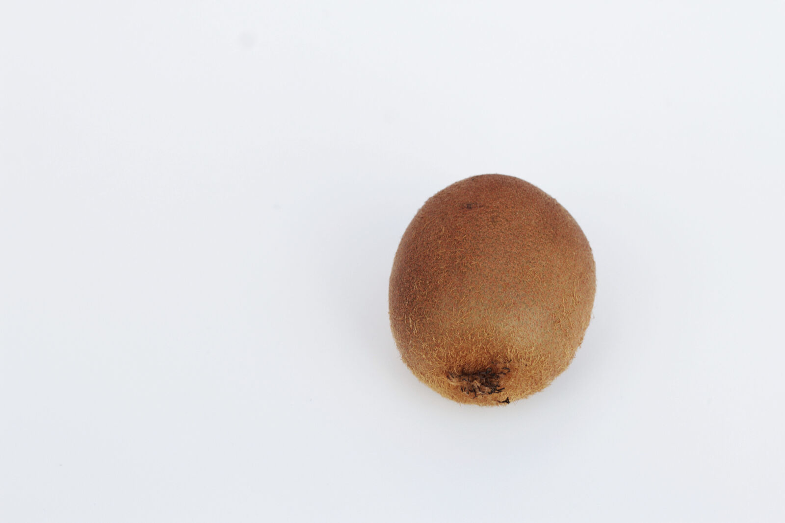 Canon EOS 550D (EOS Rebel T2i / EOS Kiss X4) + Canon EF 50mm F1.8 II sample photo. Dried, fruits, kiwi, wall photography