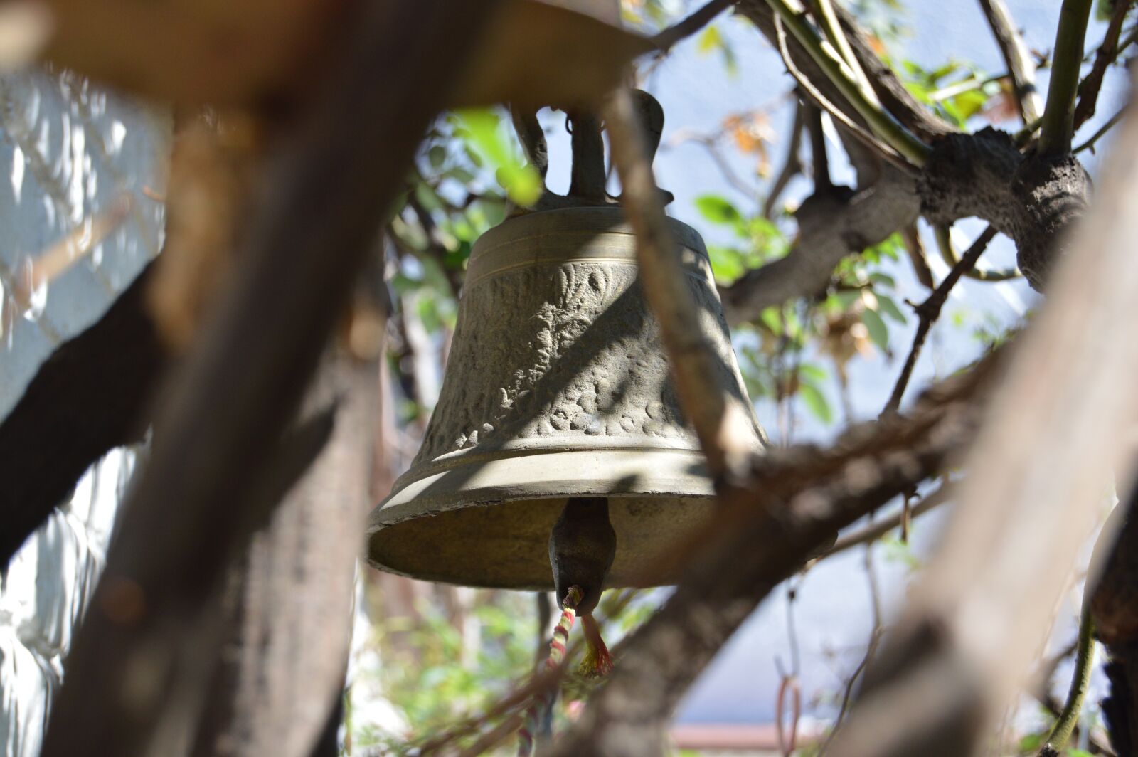 Nikon D3200 sample photo. Campaign, foliage, clapper photography
