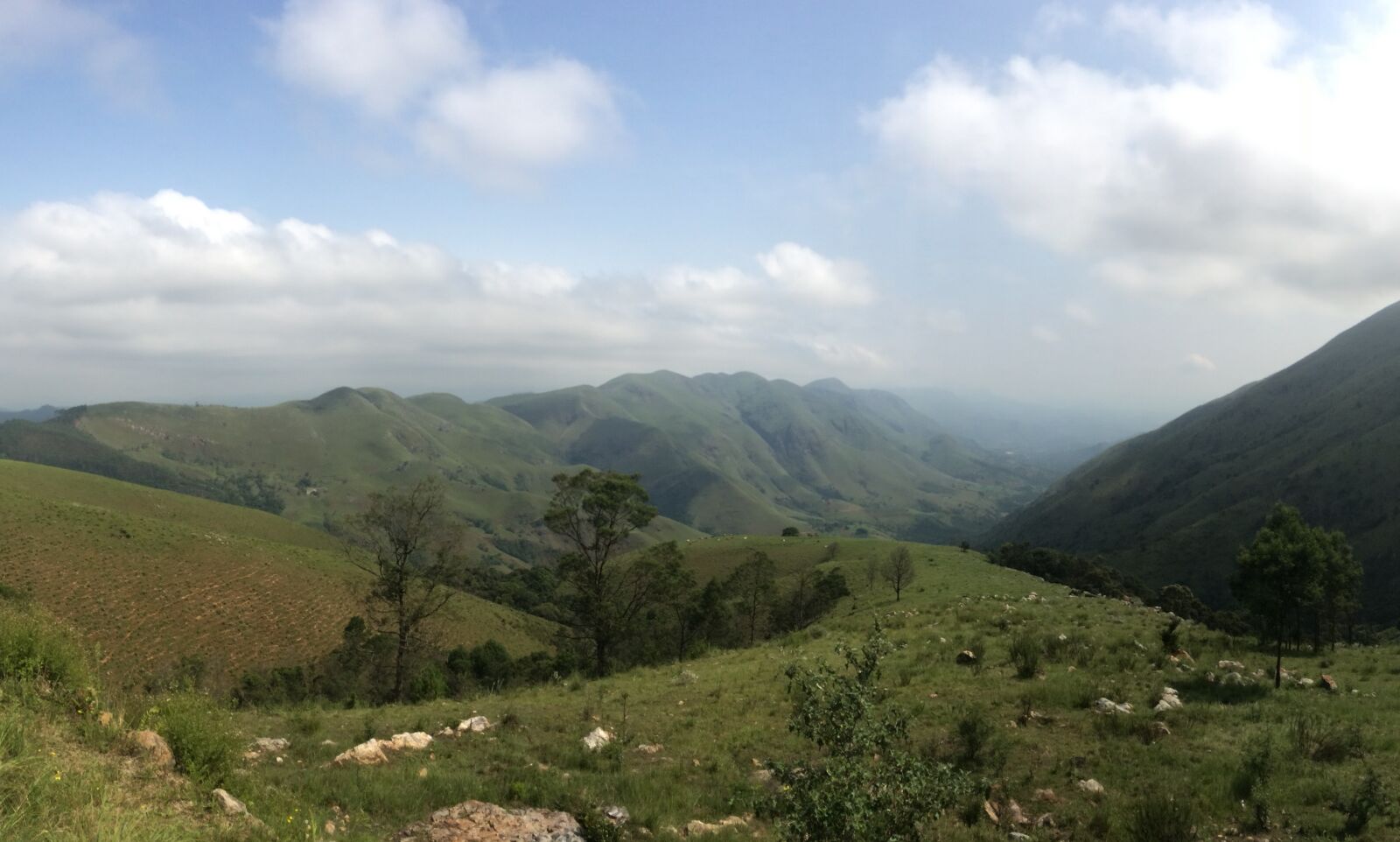 iPhone 5s back camera 4.15mm f/2.2 sample photo. South africa, eswatini, nyonyane photography