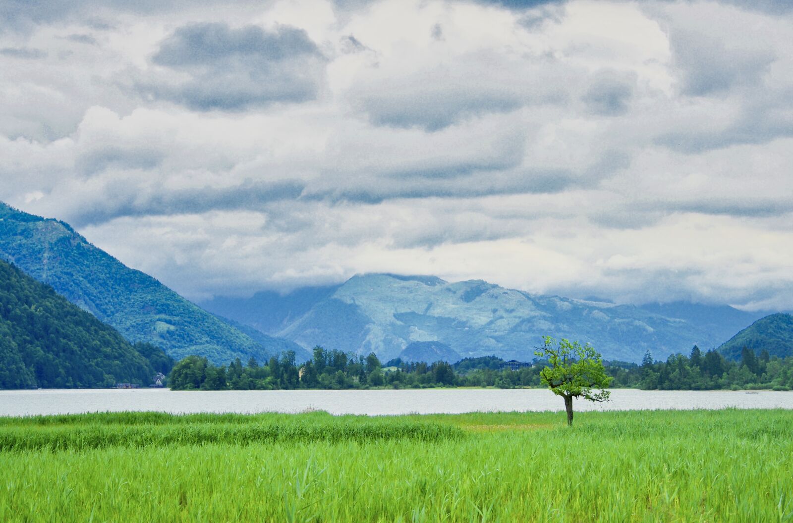 Sony a6500 sample photo. Nature, environment, landscape photography