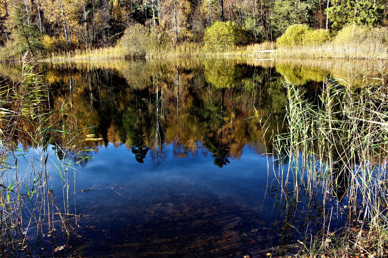 Canon EOS 700D (EOS Rebel T5i / EOS Kiss X7i) sample photo. Lake, water, nature photography