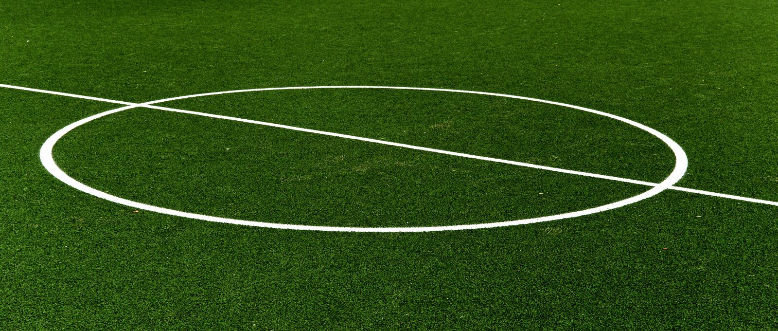 Nikon D5100 sample photo. The pitch, lawn, football photography