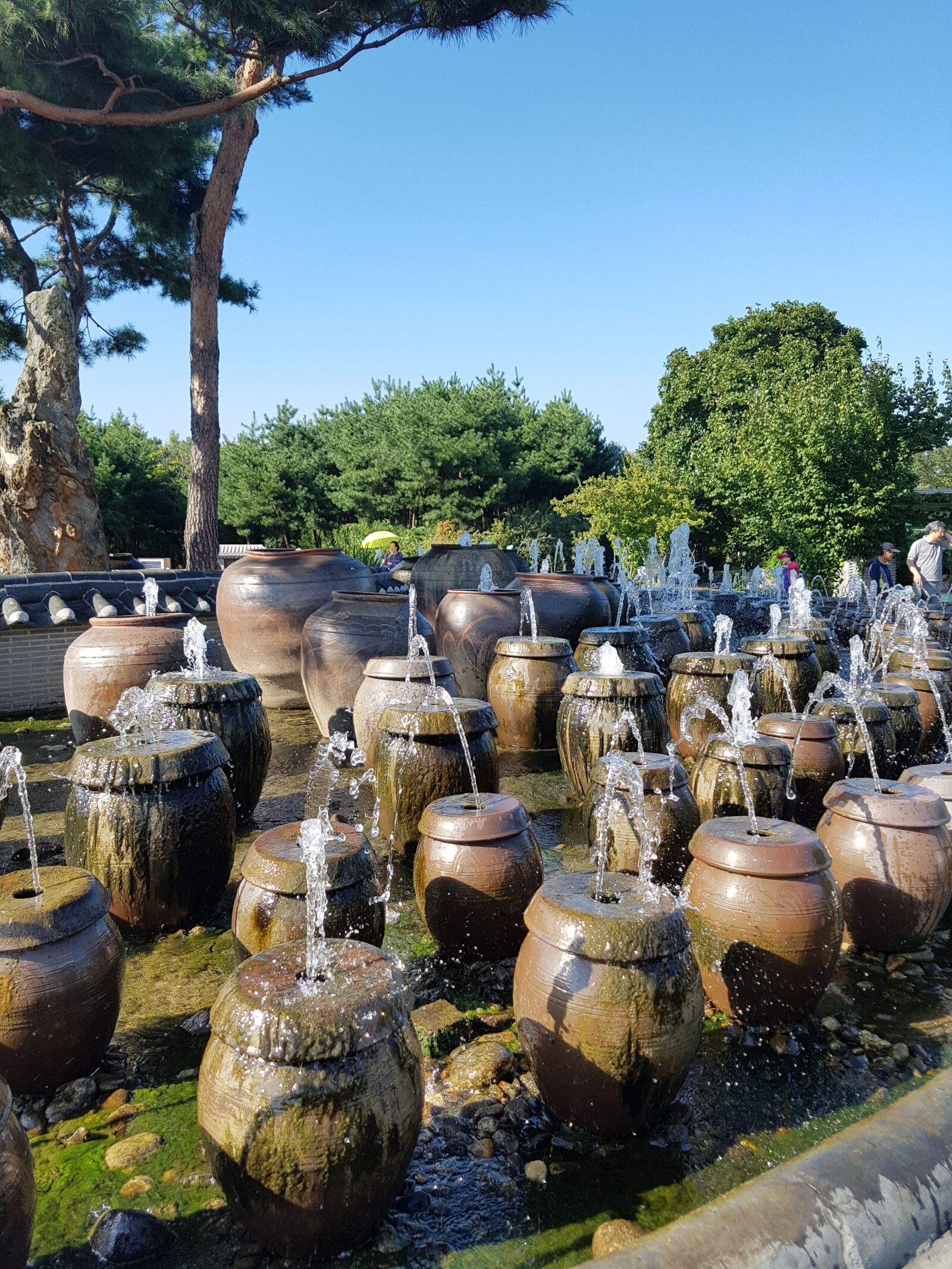 Samsung Galaxy S7 sample photo. Two water head, jar photography