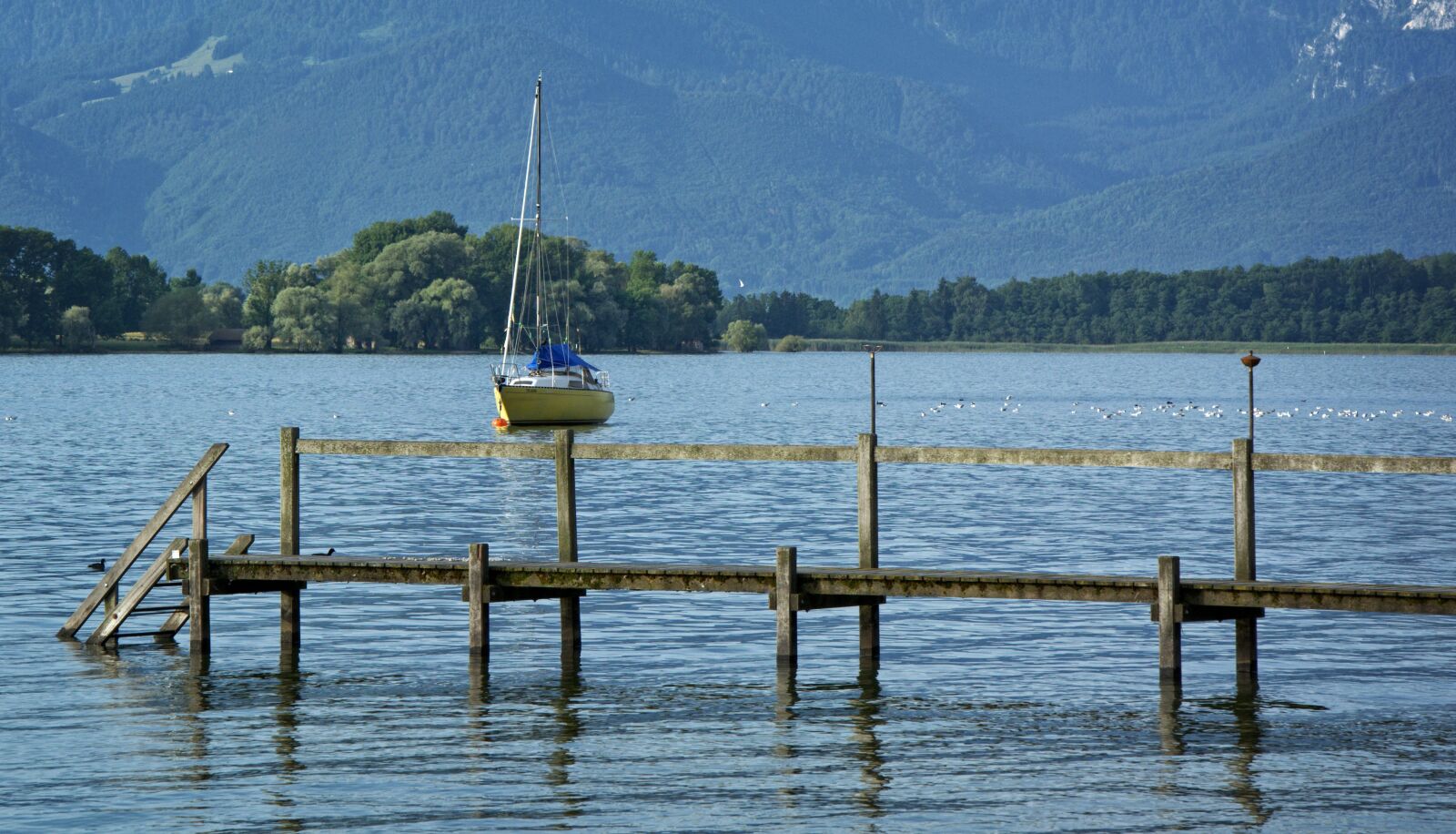 18.0-105.0mm f/3.5-f/5.6 sample photo. Pier, web, boardwalk photography