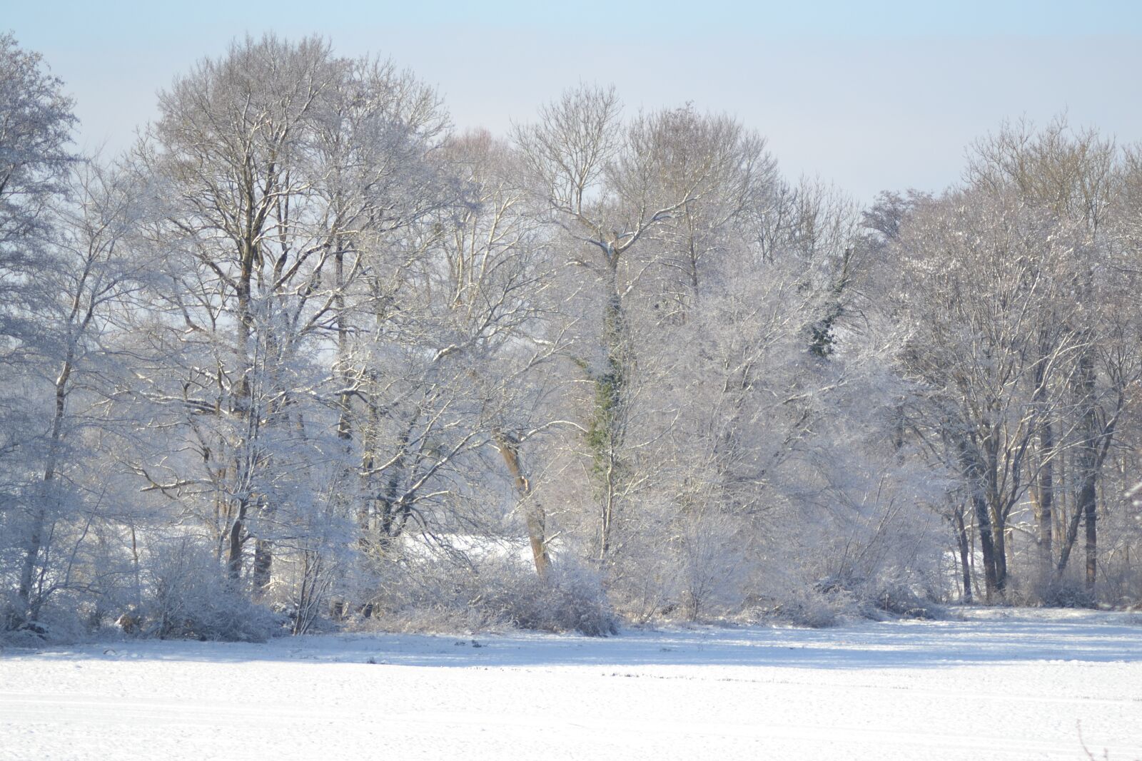 Nikon D3100 sample photo. Winter, snow, vörstetten photography
