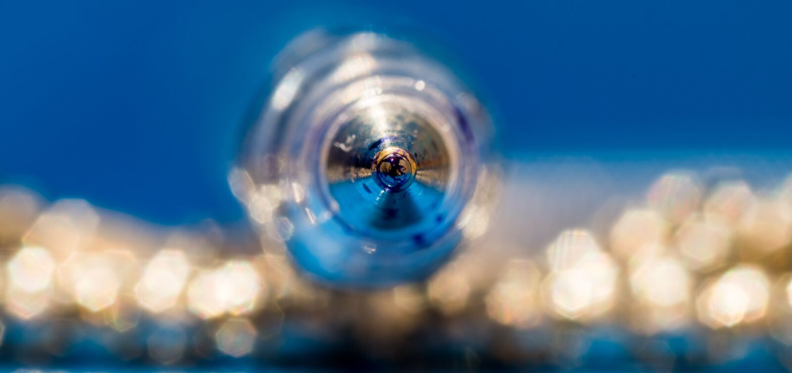 Nikon D5500 sample photo. Macro, pen, sea photography