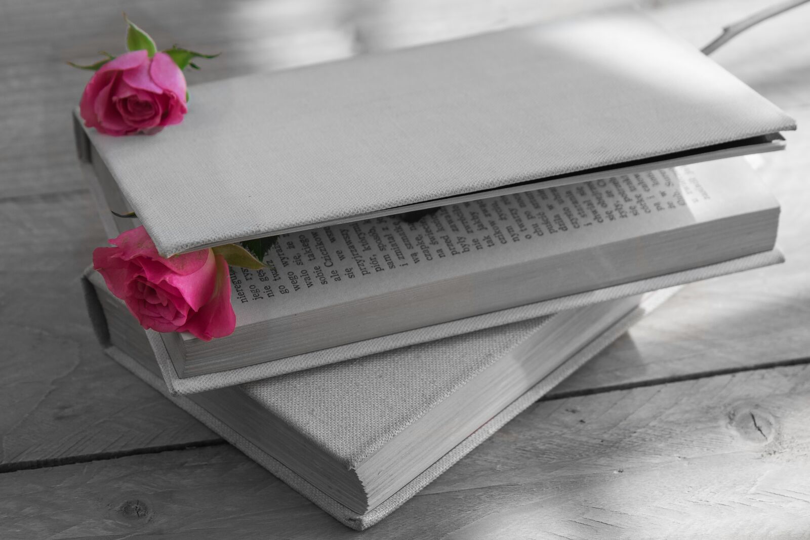 Canon EOS 7D Mark II sample photo. Book, book a cloth photography