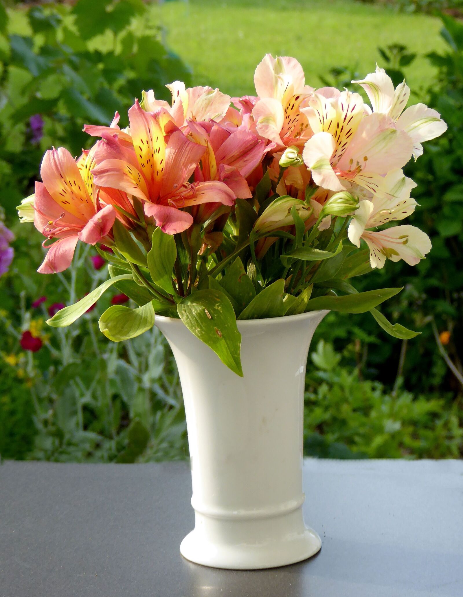Panasonic DMC-TZ61 sample photo. Flower bouquet, orange, white photography