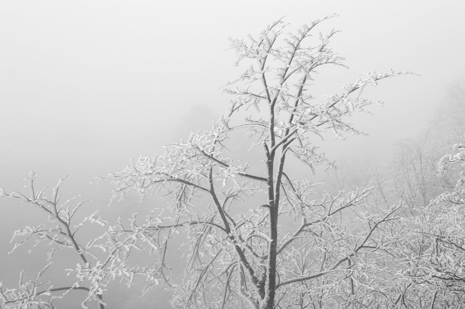 Nikon D3200 sample photo. China, anhui, huangshan photography