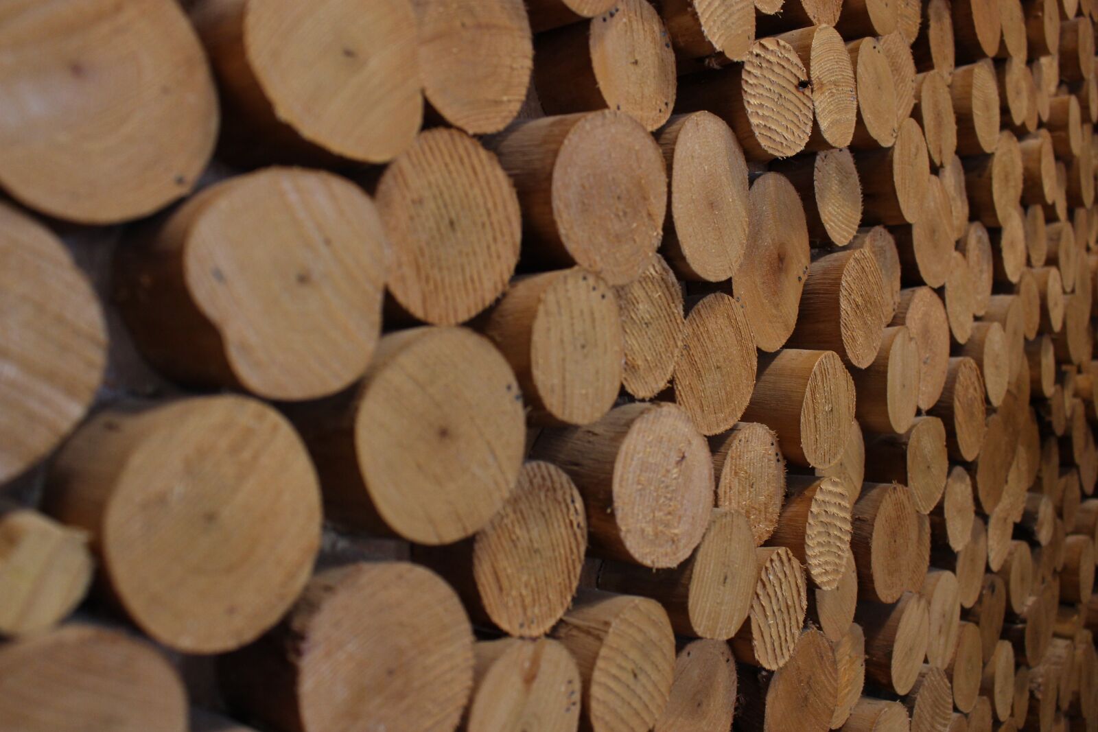 Canon EOS 700D (EOS Rebel T5i / EOS Kiss X7i) sample photo. Wood, background, wall photography