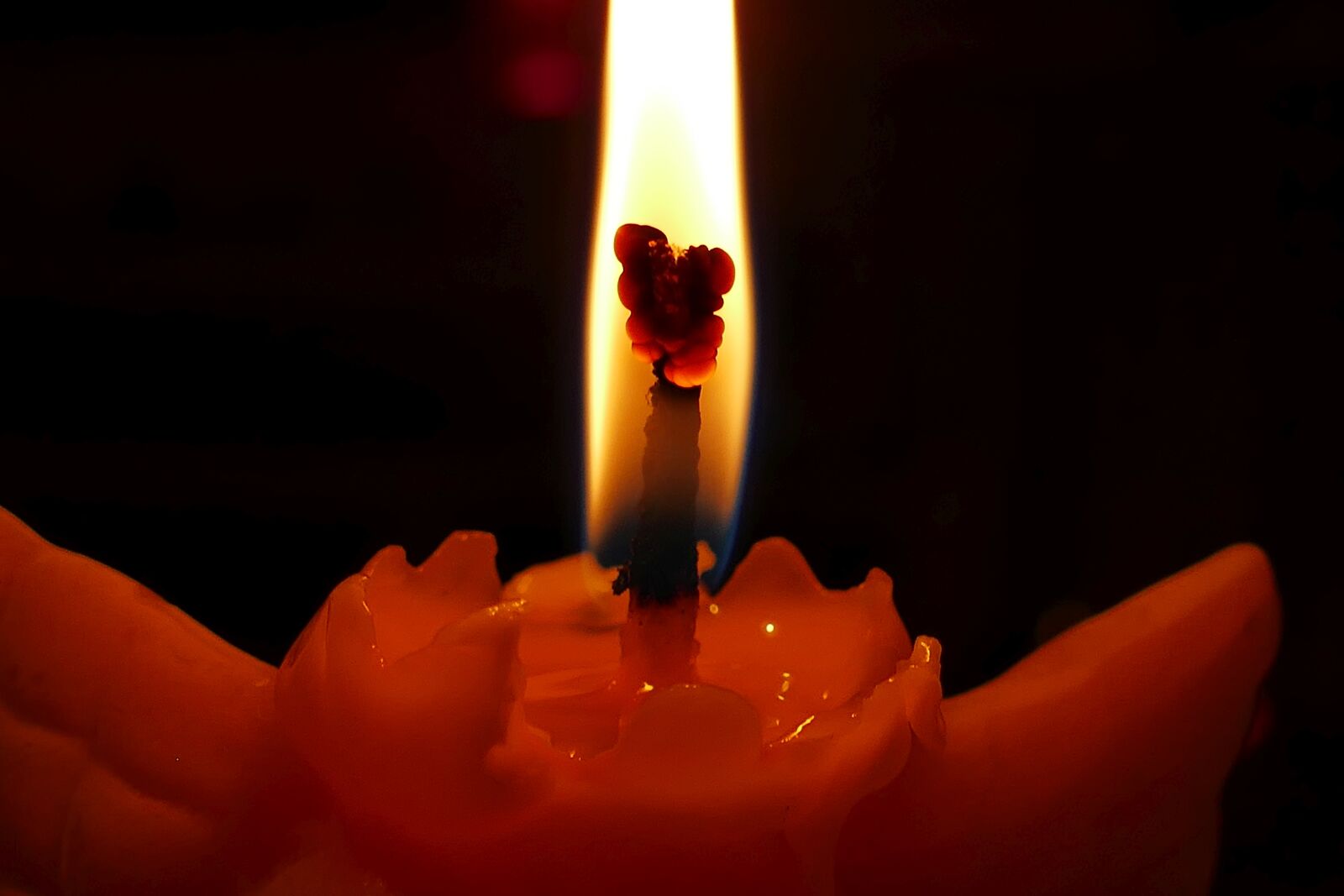Panasonic Lumix DMC-FZ1000 sample photo. Candle, light, candlelight photography