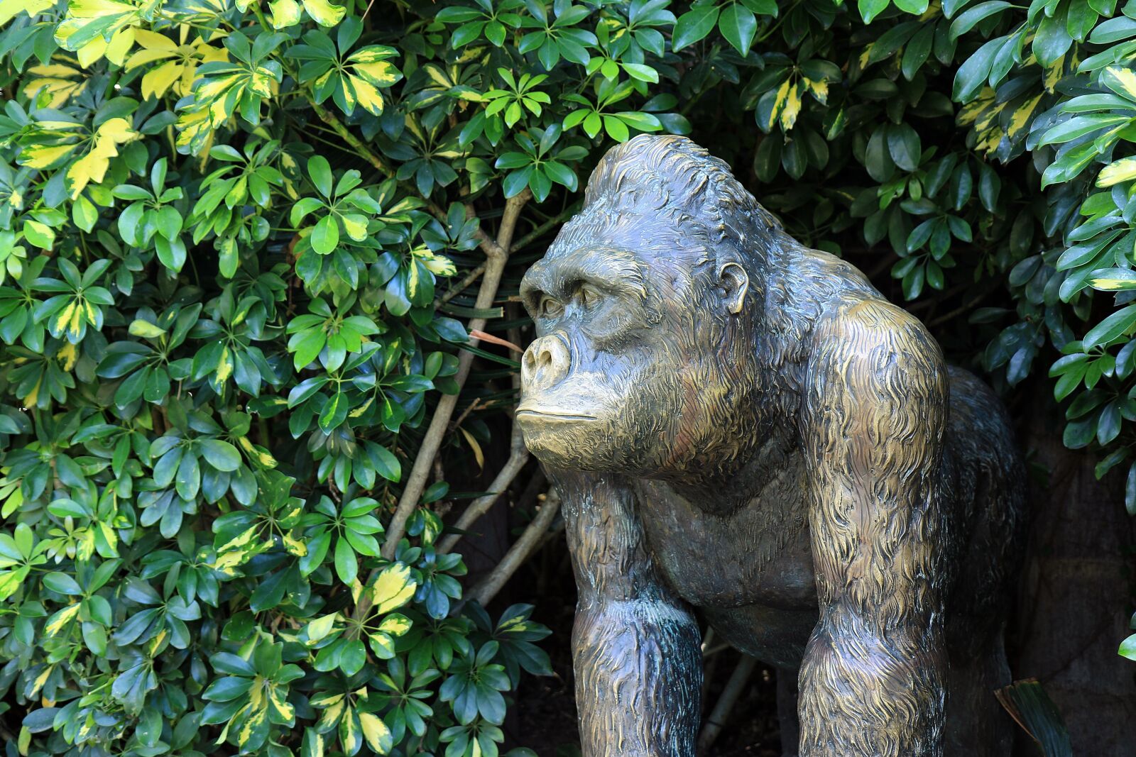 Canon EOS 7D Mark II sample photo. Gorilla, monkey, sculpture photography
