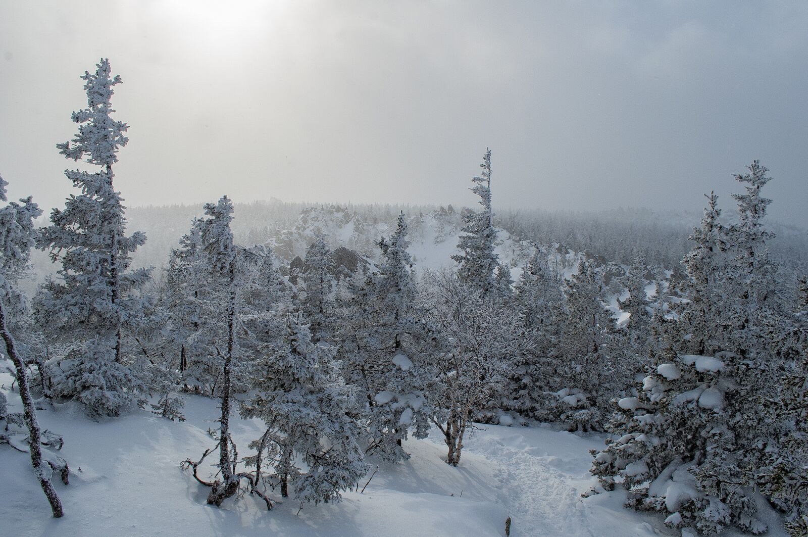 Nikon D5000 sample photo. Snow, winter, leann photography