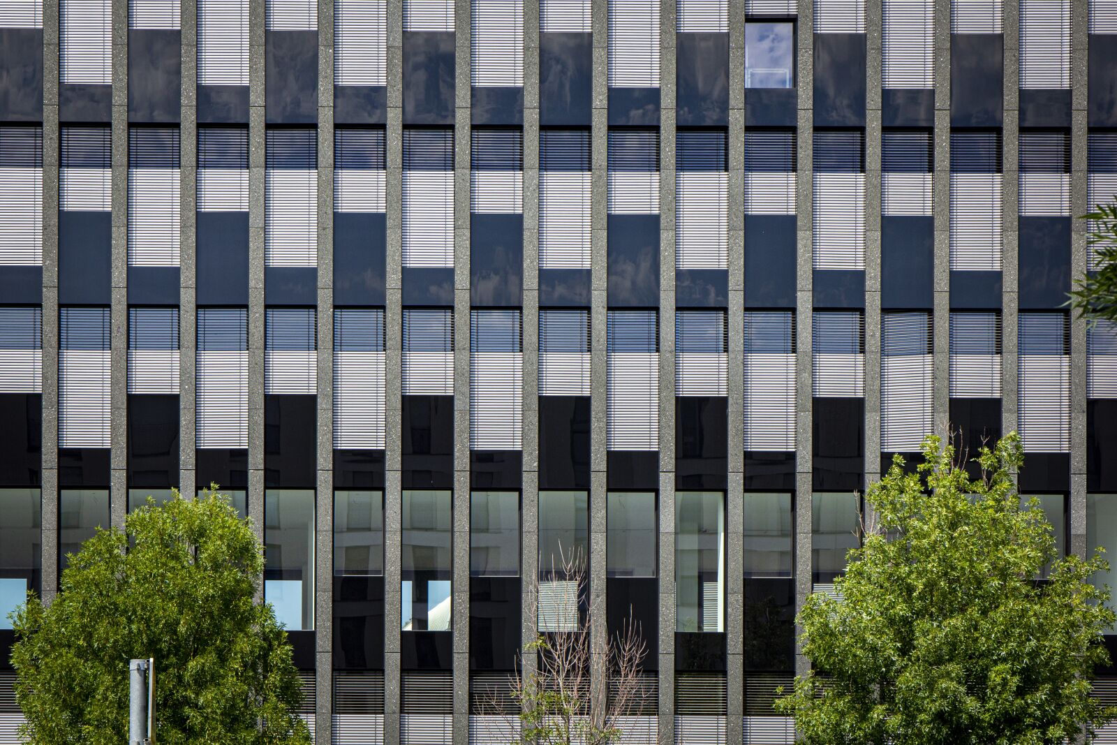 Canon EF 24-70mm F4L IS USM sample photo. Building, trees, glass photography