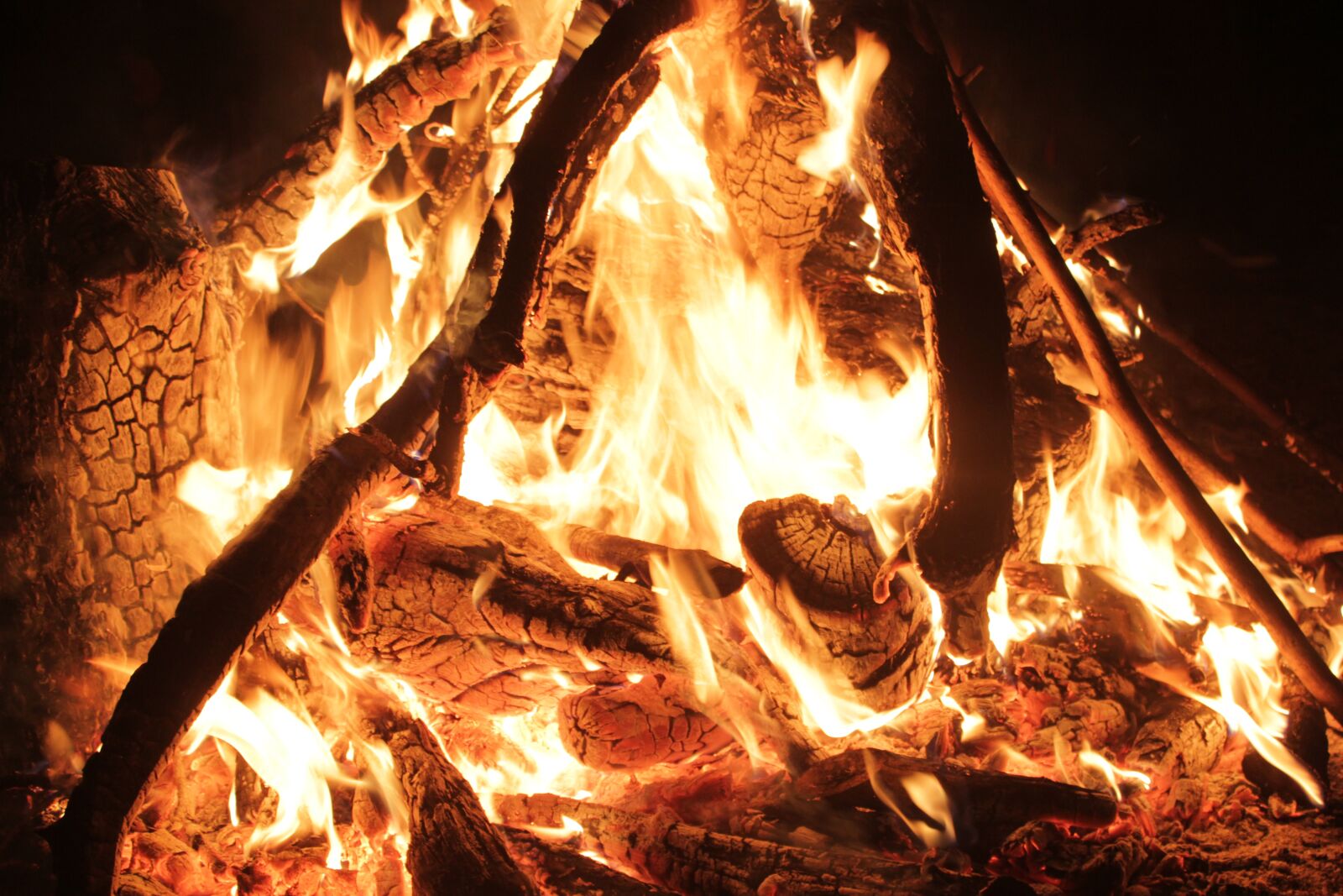 Canon EOS 550D (EOS Rebel T2i / EOS Kiss X4) sample photo. Camp, fire, blind photography