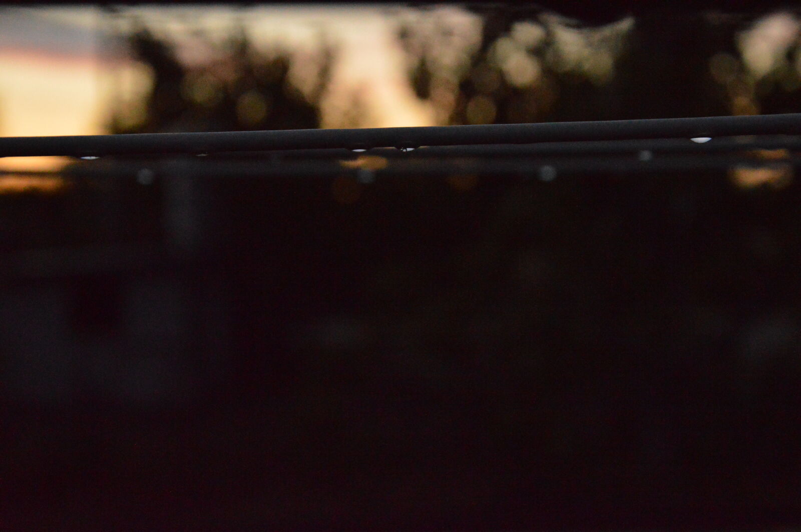 Nikon D3200 sample photo