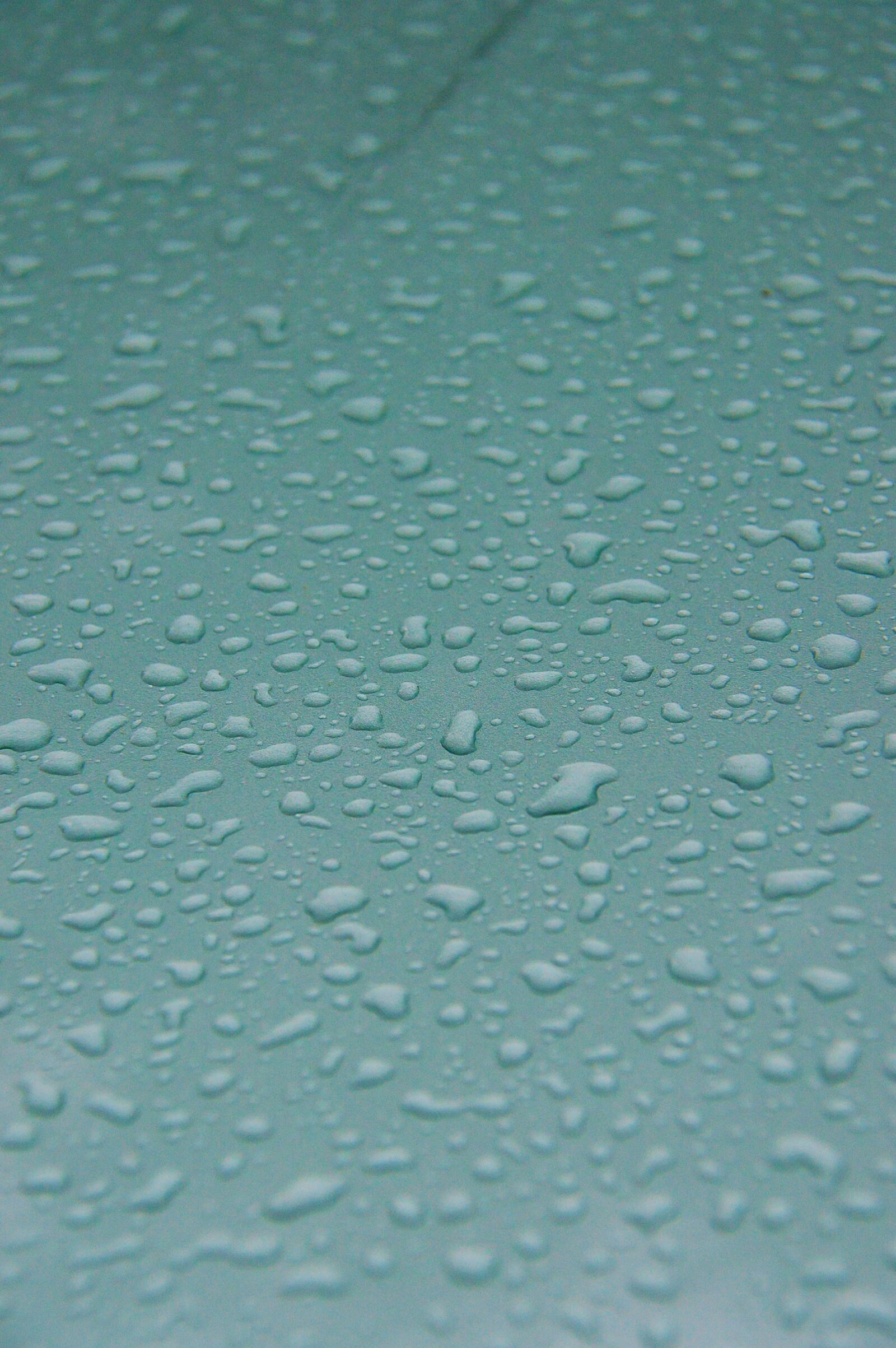 Nikon D3200 sample photo. Water droplets, dew, blue photography