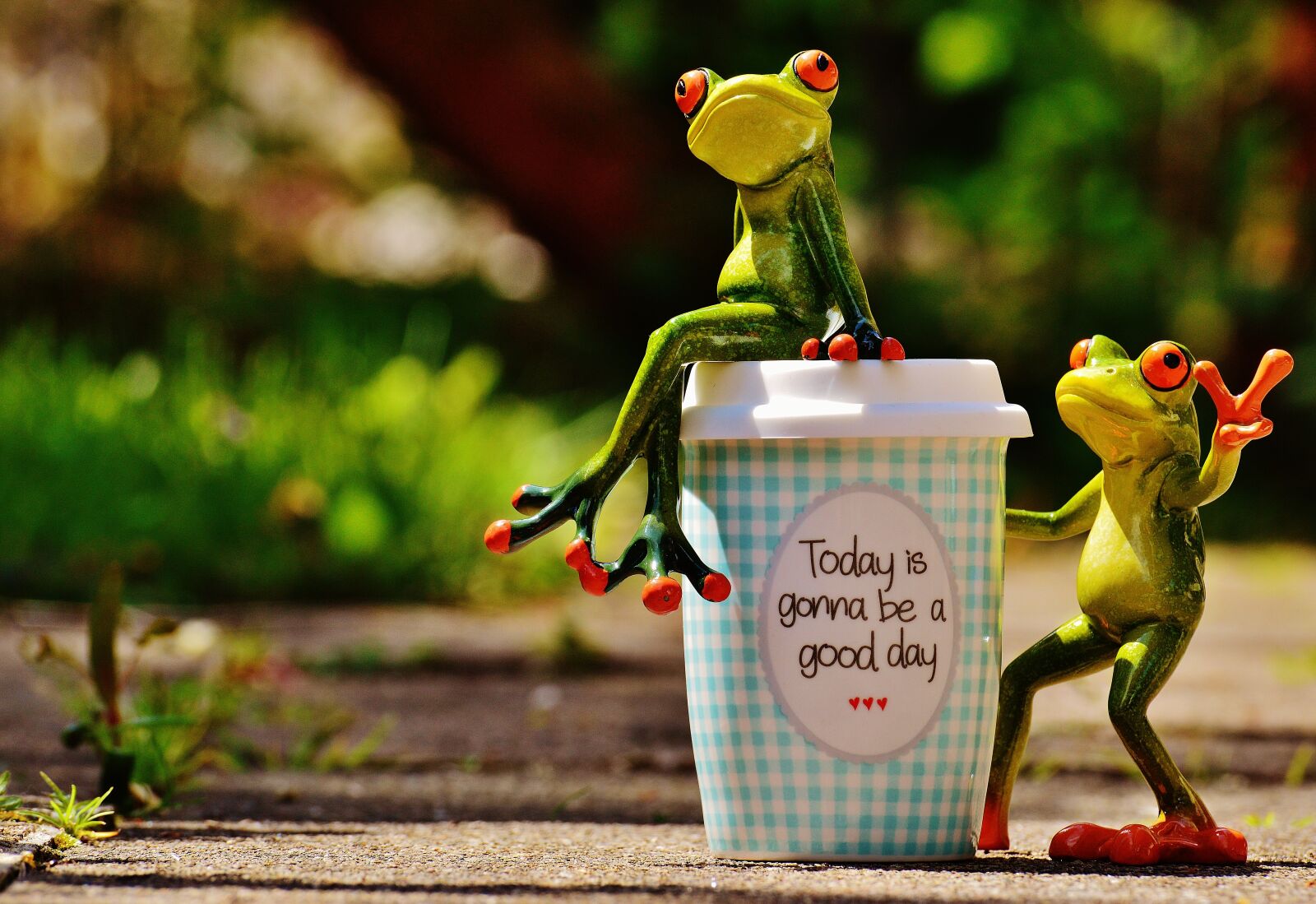 Nikon D3200 sample photo. Beautiful day, joy, frog photography