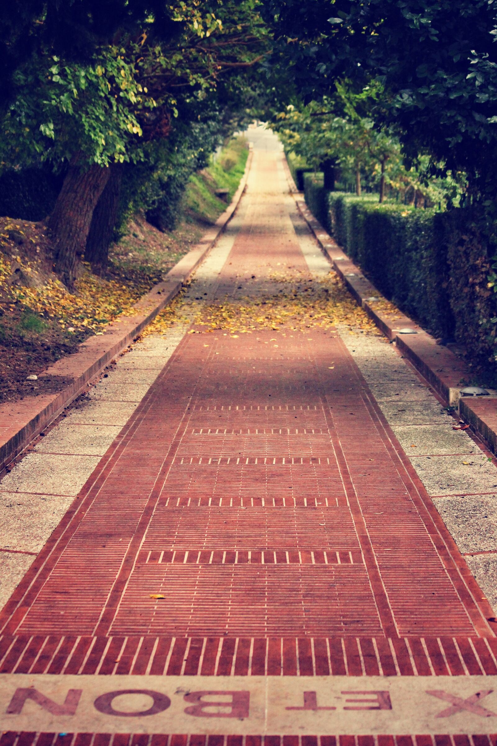Canon EF-S 55-250mm F4-5.6 IS sample photo. Pathway, brick street, walkway photography