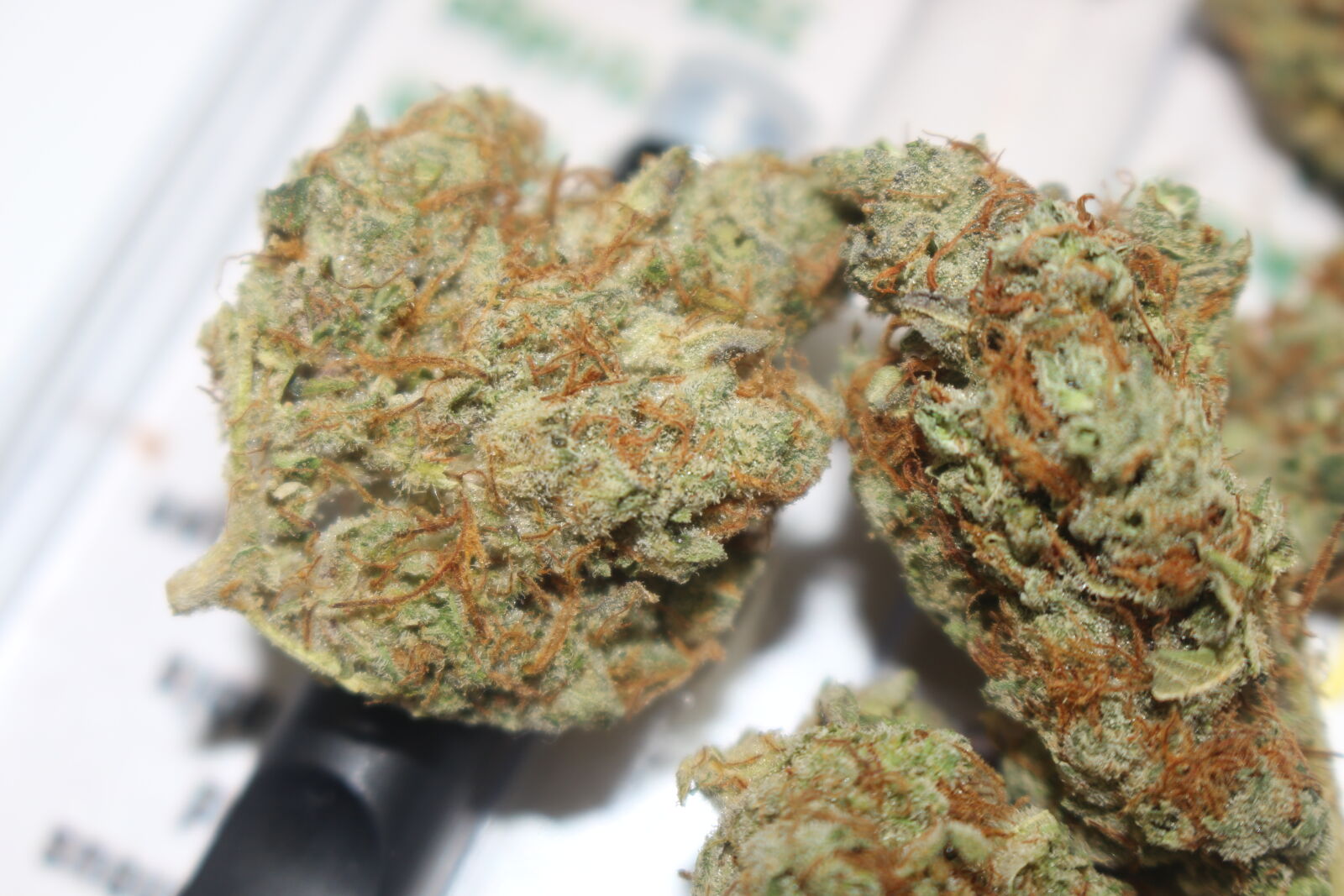 Canon EOS 700D (EOS Rebel T5i / EOS Kiss X7i) sample photo. 420, 710, buds, cannabis photography