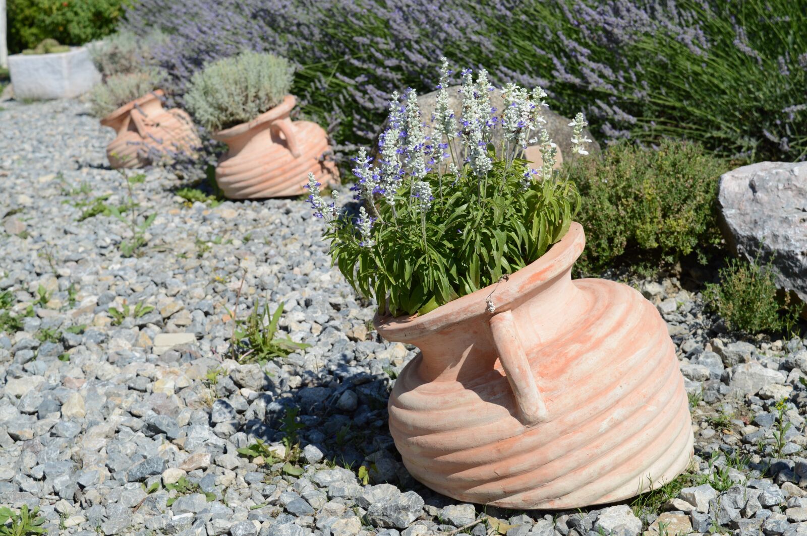 Nikon D3200 sample photo. Lavender, jars, white lavender photography