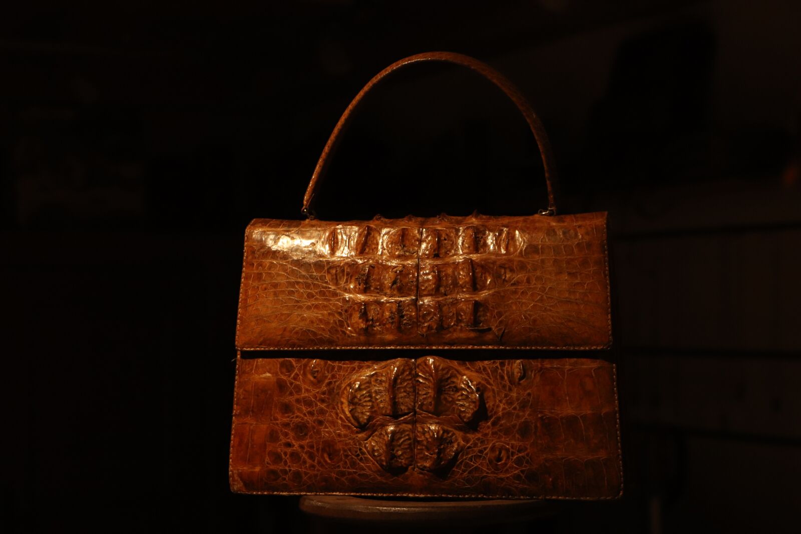 Canon EOS 800D (EOS Rebel T7i / EOS Kiss X9i) sample photo. Bag, crocodile, cook photography
