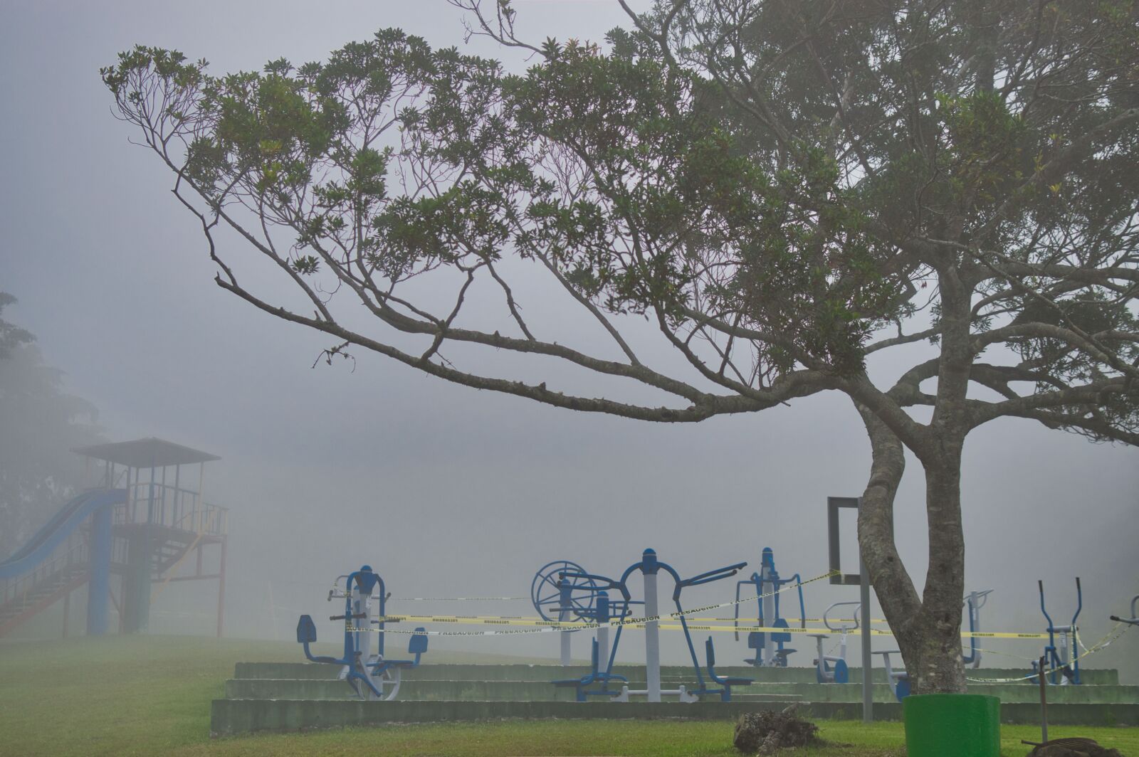 Nikon D3200 sample photo. Costa rica, trunk, tree photography