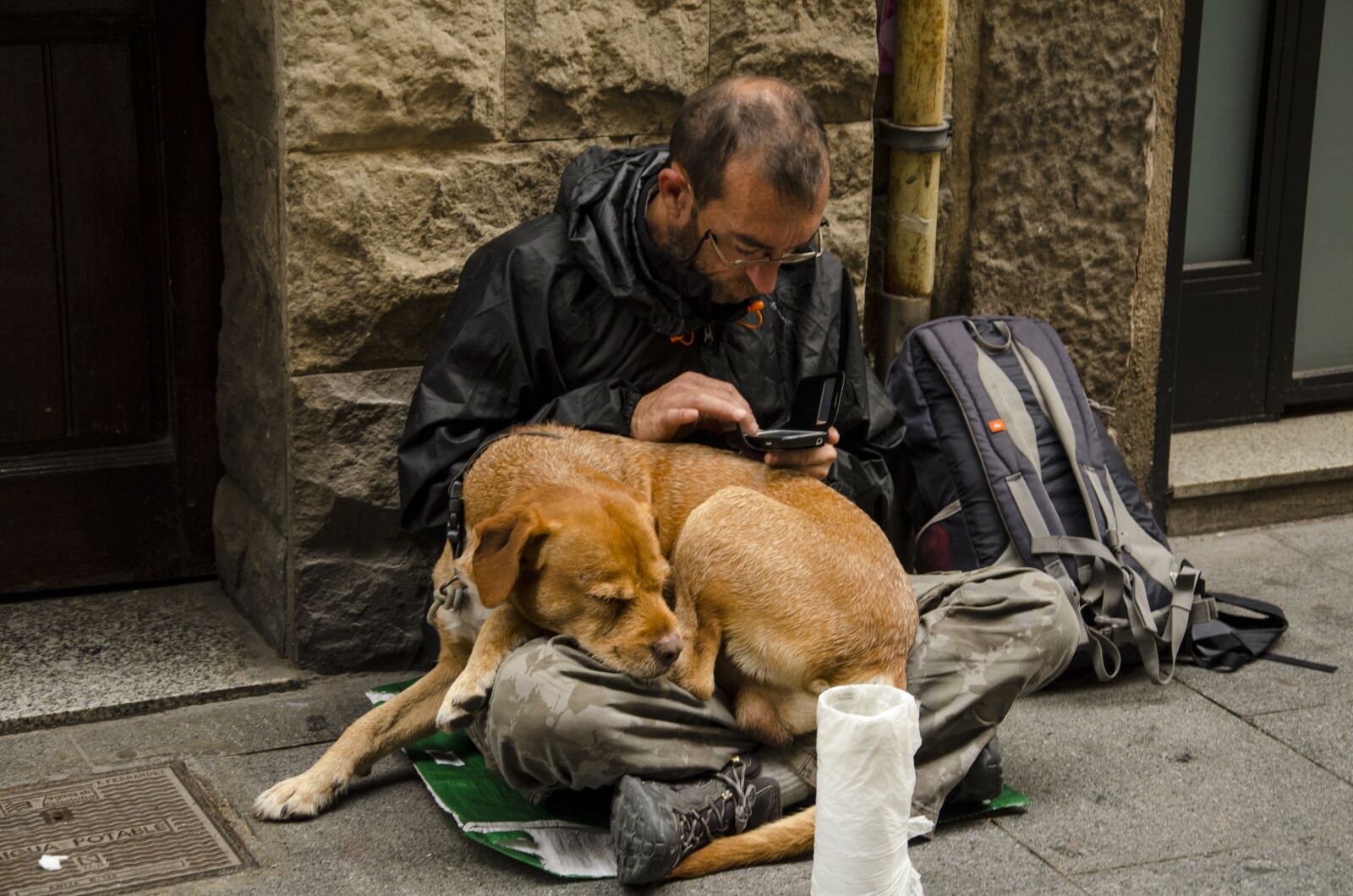 Nikon D5100 sample photo. Dog, homeless, puppy photography