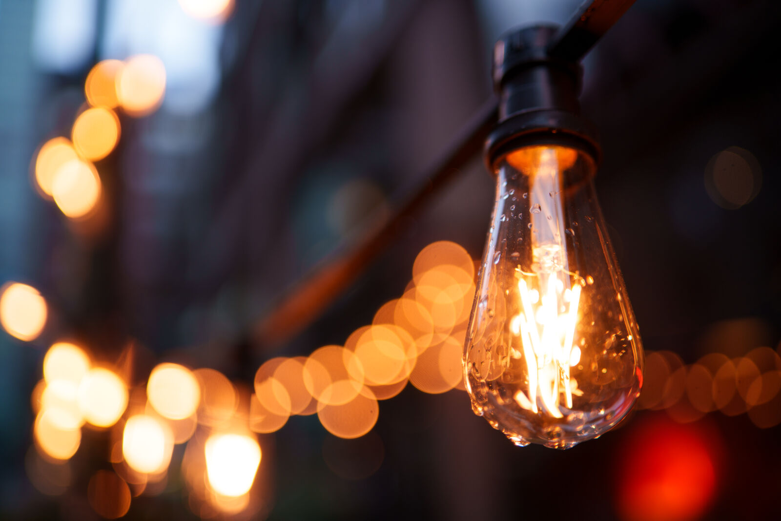 Samyang AF 35mm F1.4 P sample photo. Seasonal lights photography