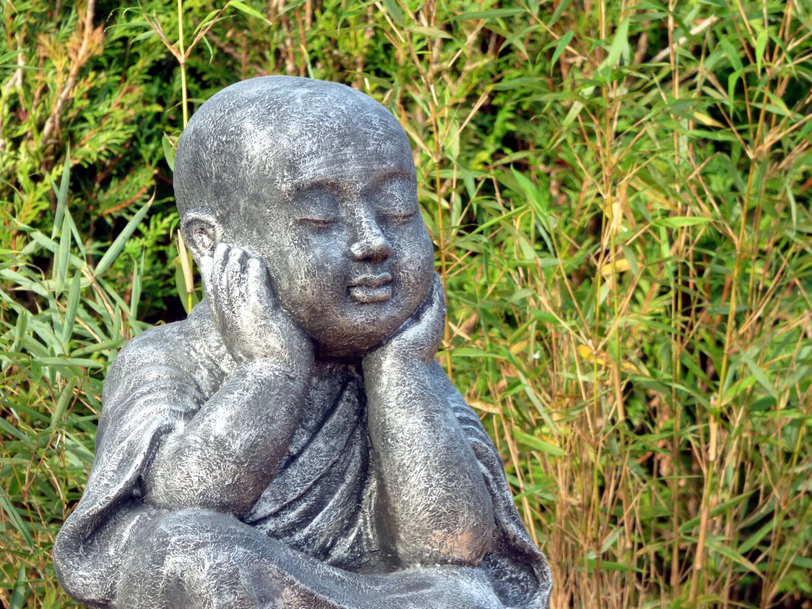 Panasonic DMC-FZ72 sample photo. Monk, meditation, wisdom photography