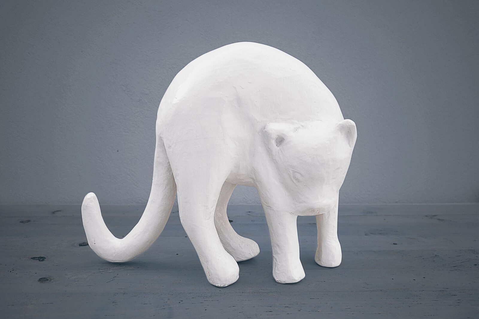 Nikon D3200 sample photo. Cat plaster, white cat photography