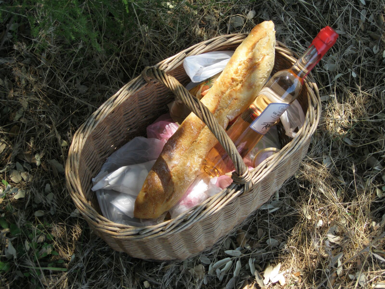 Canon PowerShot A3100 IS sample photo. Picnic, bread, wine photography