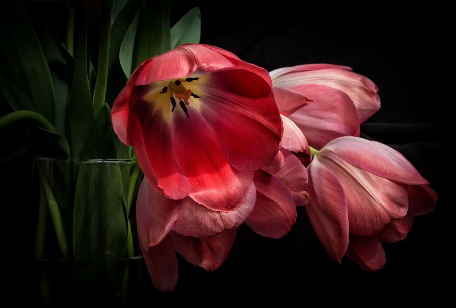 Canon EF 24-105mm F4L IS USM sample photo. Tulips, red, flowers photography