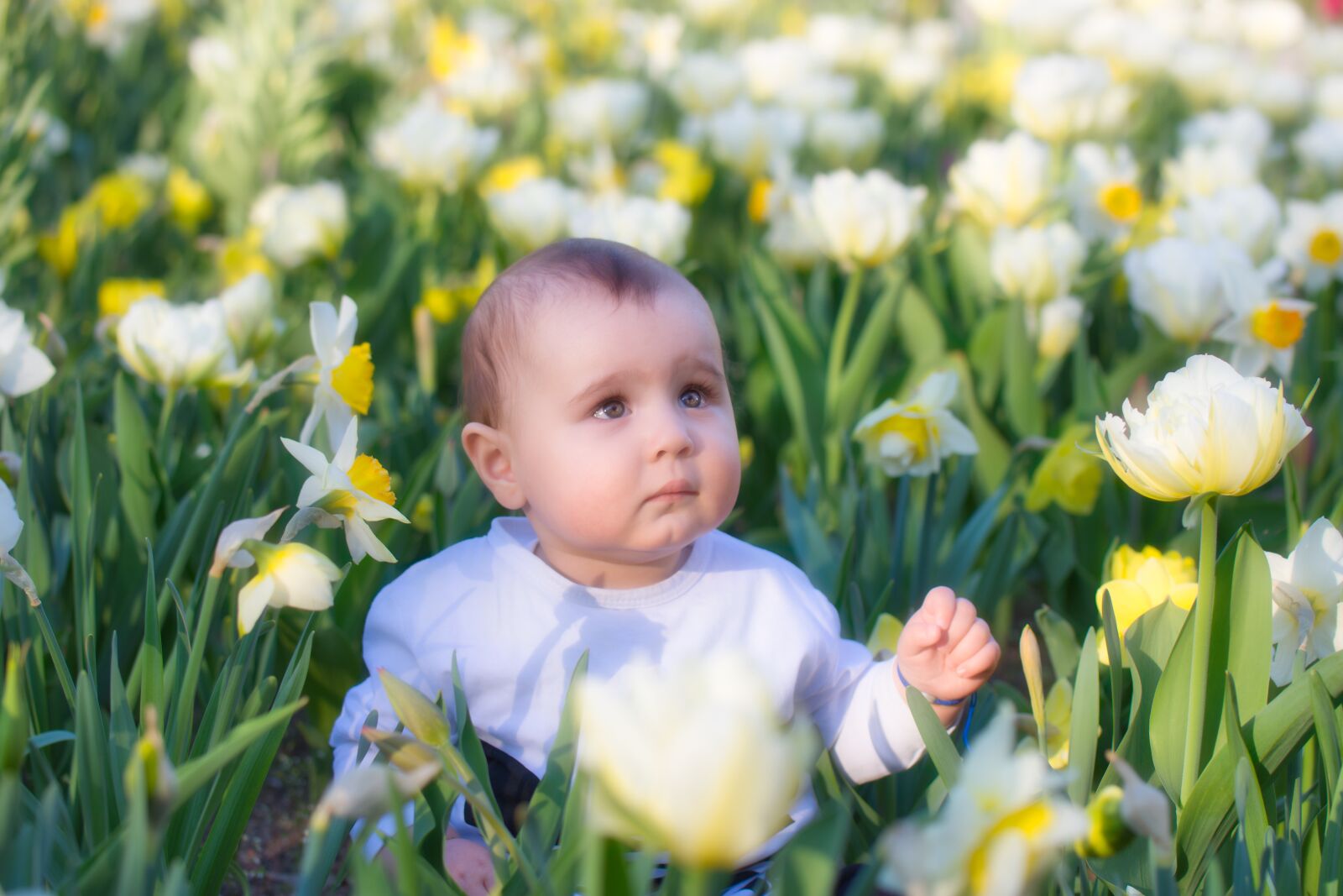 Nikon D7200 sample photo. Baby, boy, child photography
