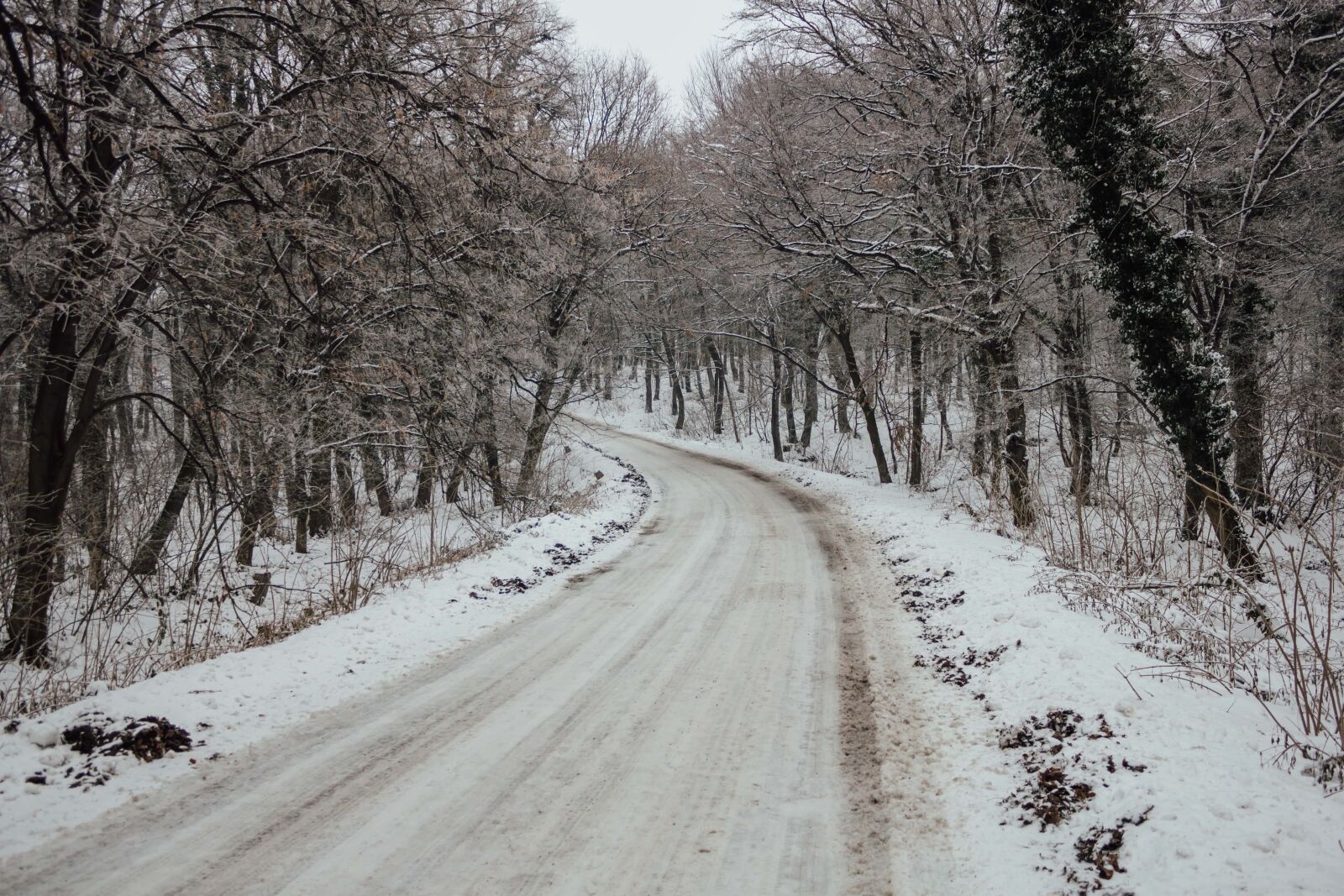 Canon EF-S 18-55mm F3.5-5.6 IS sample photo. Road, forest road, winter photography
