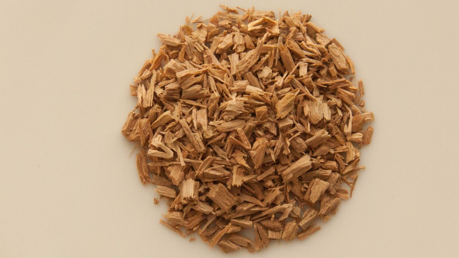 Canon EOS 50D sample photo. Santalum album, indian sandalwood photography