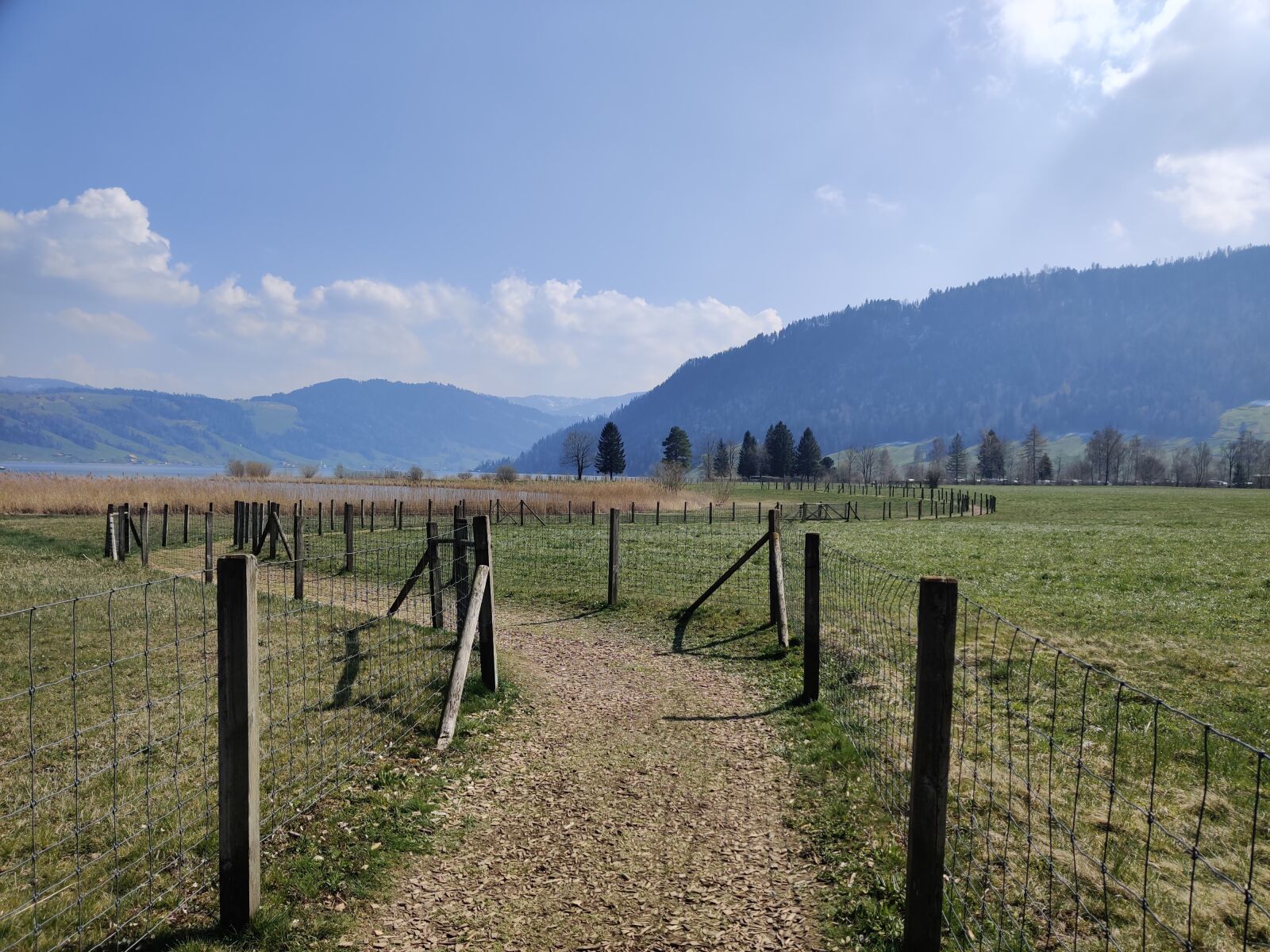 OnePlus GM1913 sample photo. Switzerland, path, landscape photography