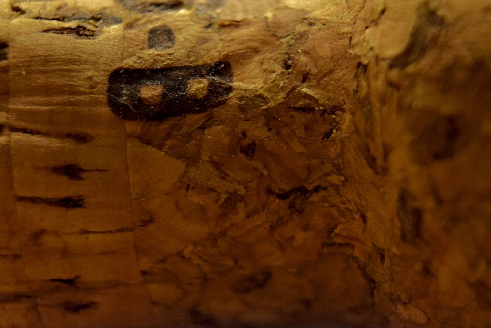 Nikon D3300 sample photo. Celebration, champagne, cork, macro photography