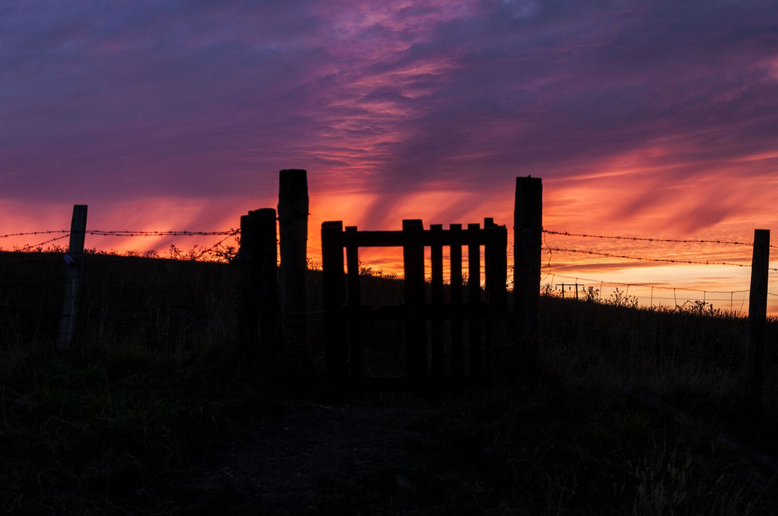 Nikon D90 sample photo. Sunset, sky, silhouette photography