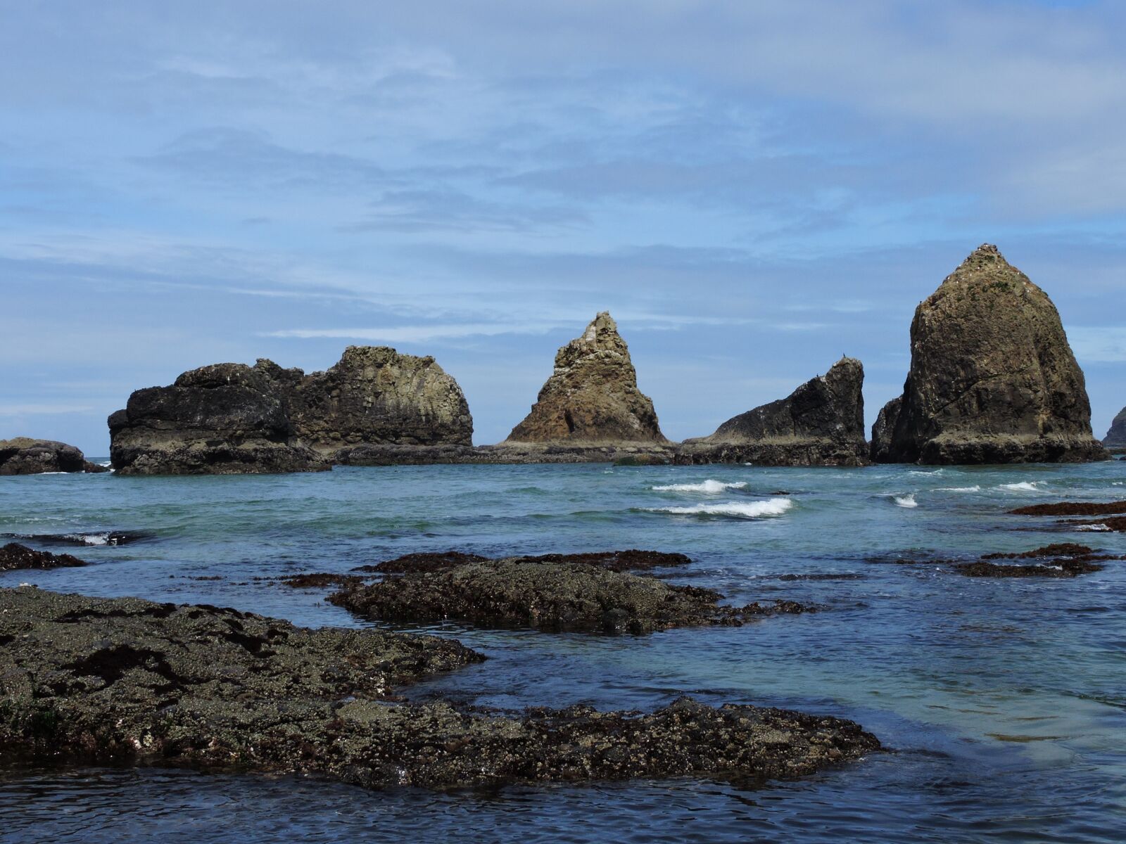 Nikon Coolpix P600 sample photo. Coast, oregon coast, ocean photography