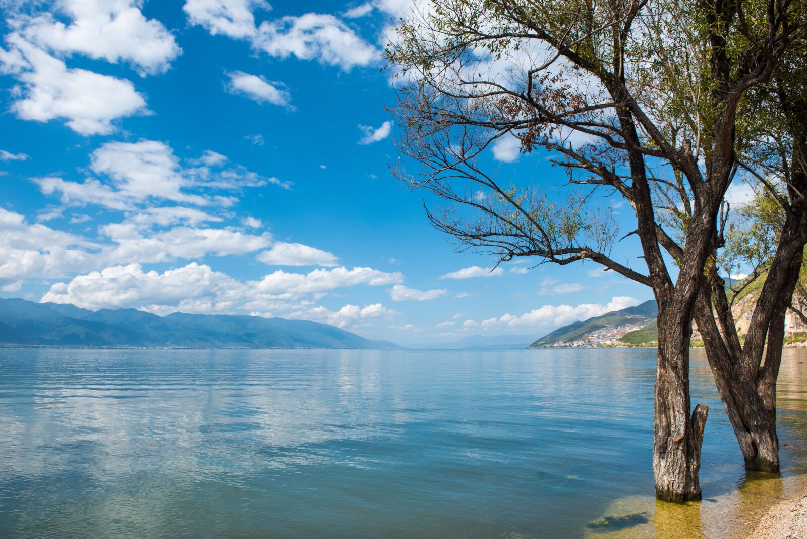 Nikon D810 sample photo. Dali, erhai lake, yunnan photography