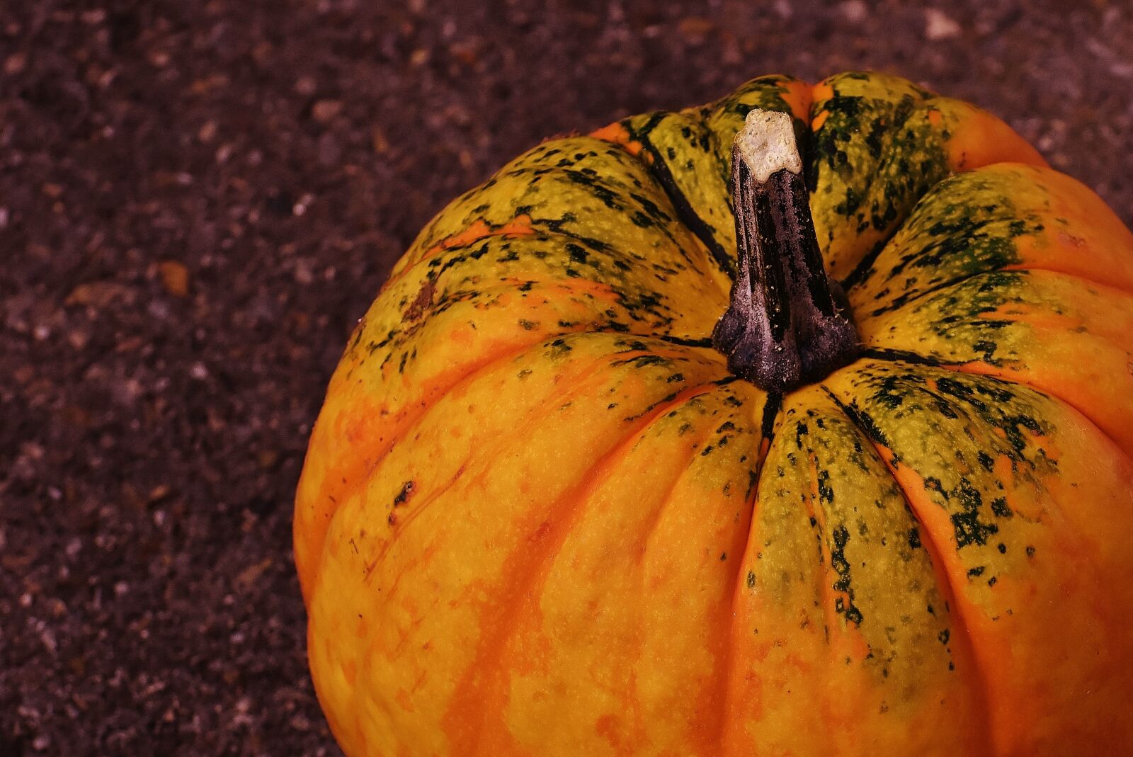 Nikon D7200 sample photo. Pumpkins, decorative squashes, nature photography