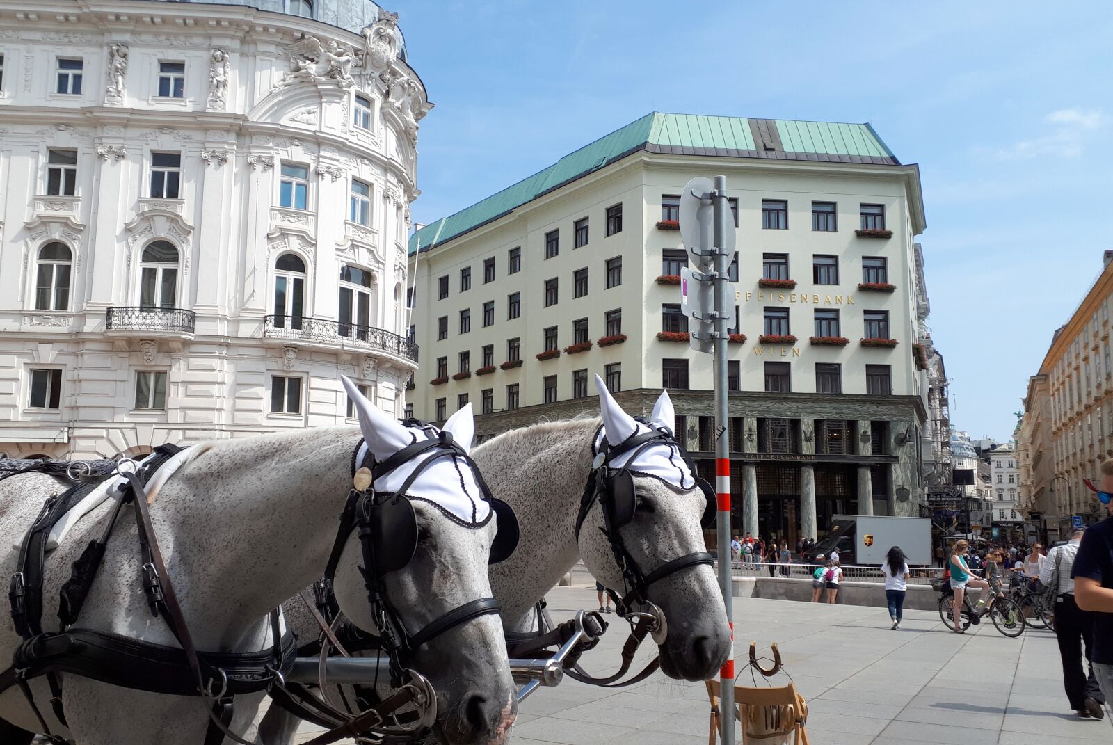 Samsung Galaxy A5(2017) sample photo. Vienna, horse, fiaker photography